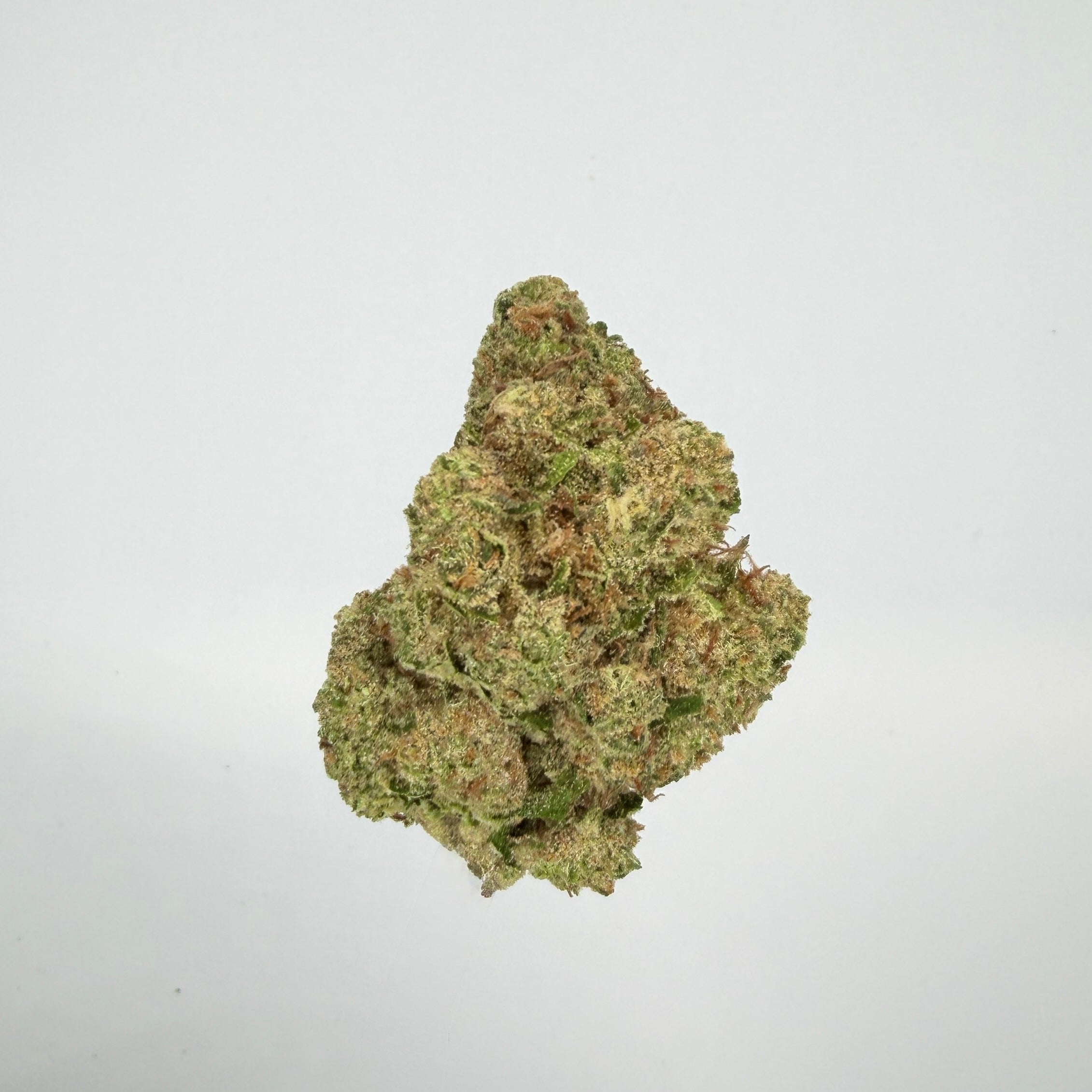 Collection of  in a gallery layout