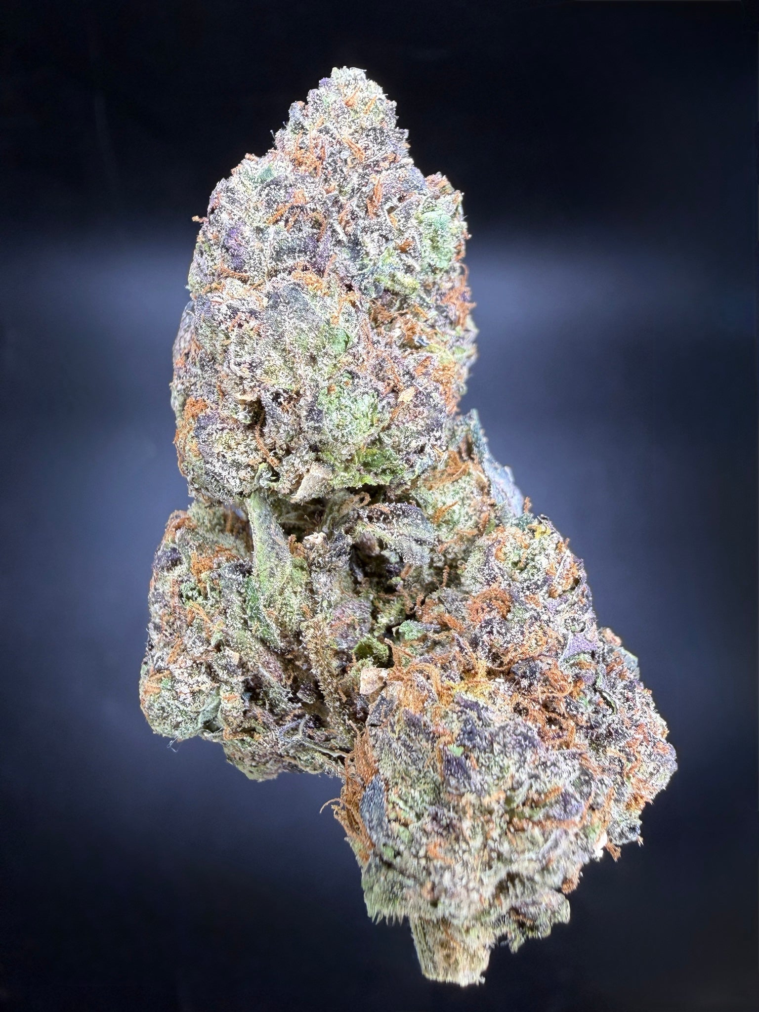Collection of HEMP FLOWER | Gushers in a gallery layout