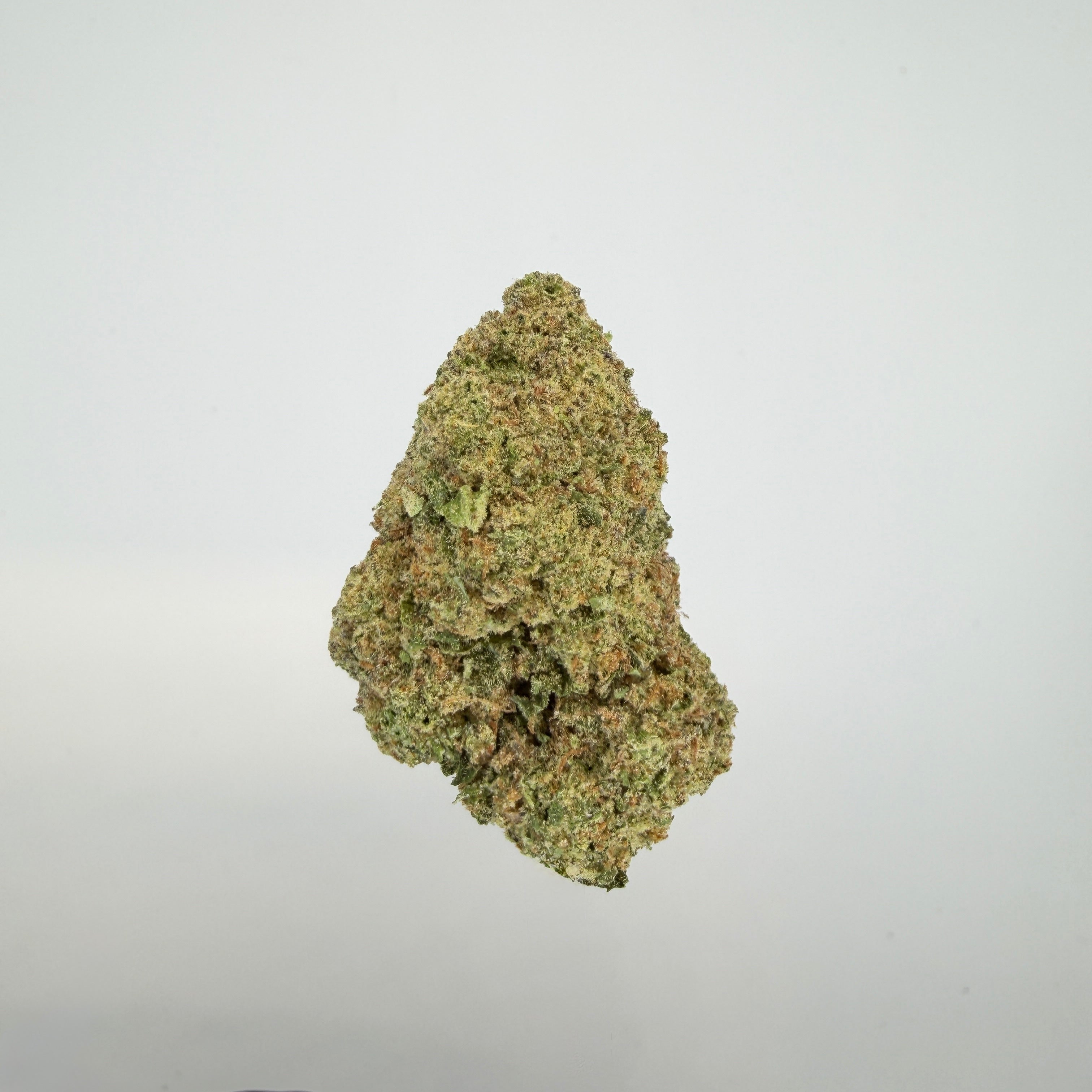 Collection of  in a gallery layout