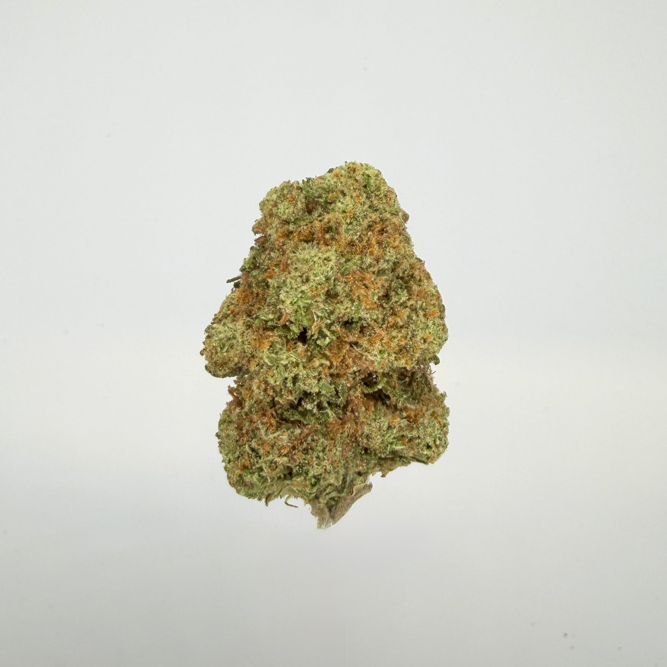 Collection of  in a gallery layout