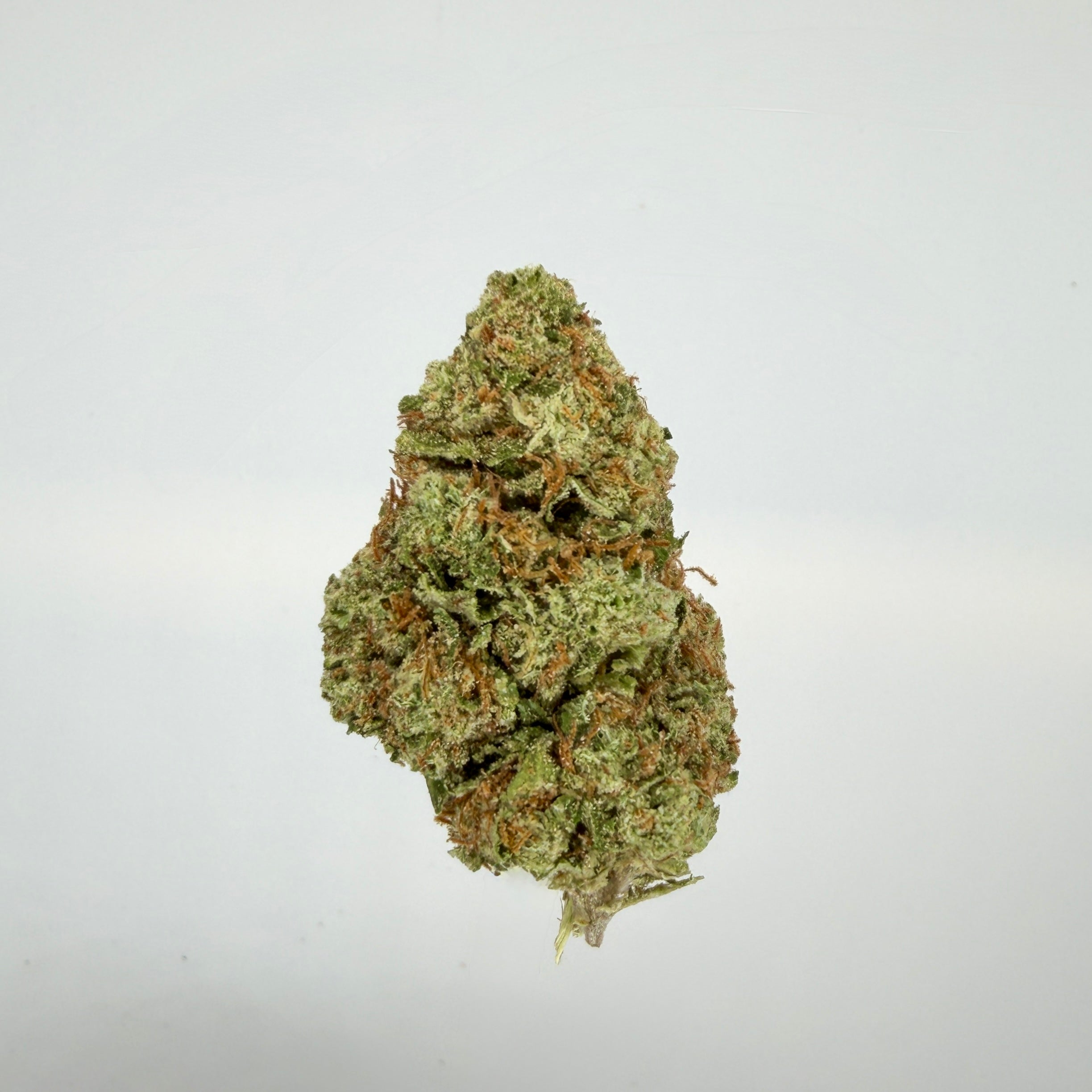 Collection of  in a gallery layout