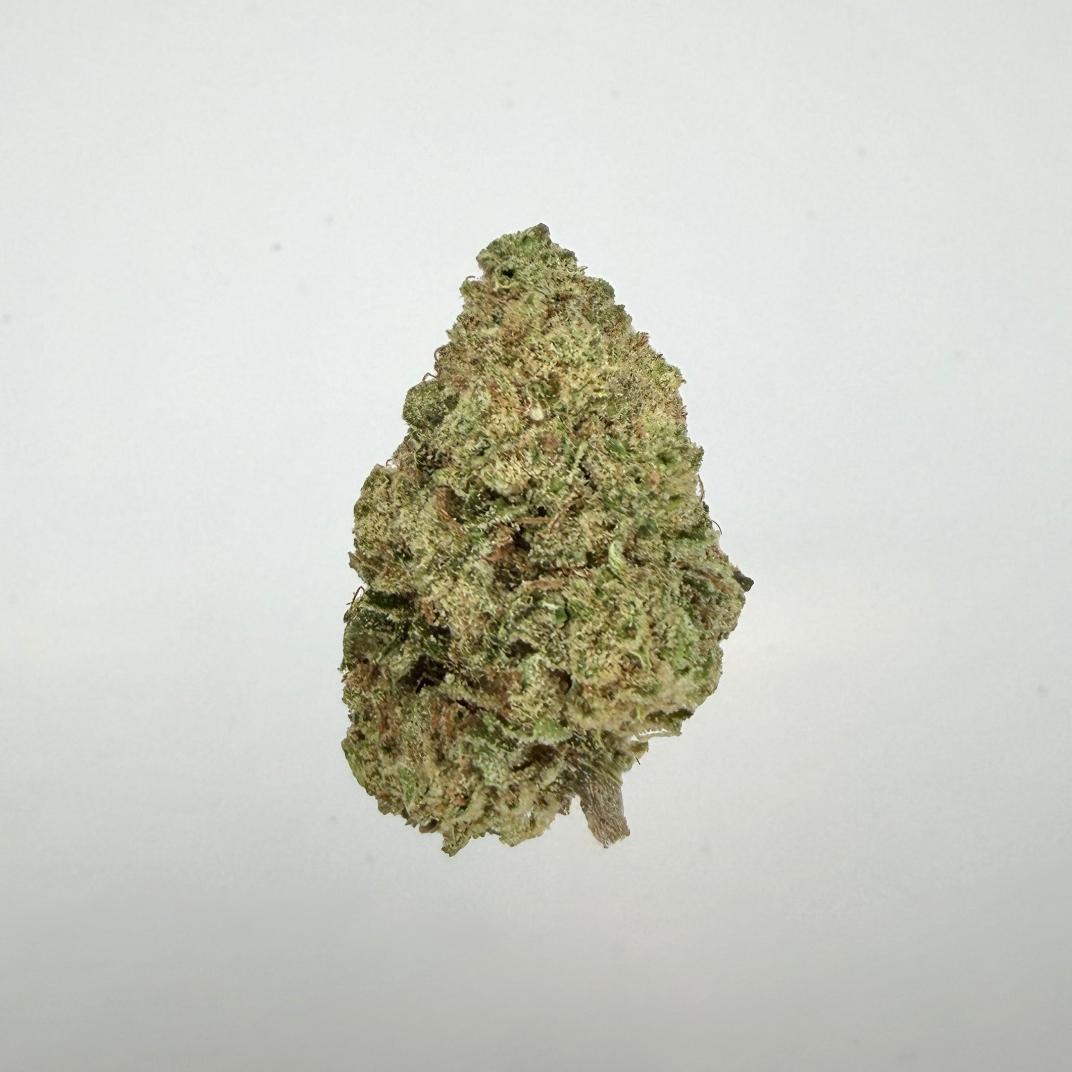 Collection of  in a gallery layout