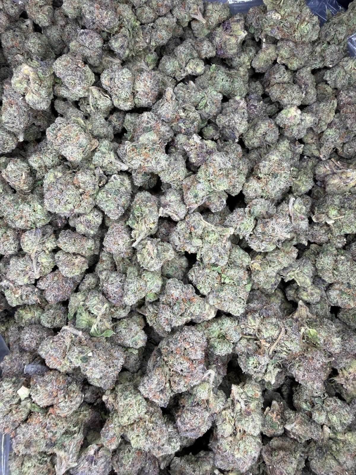Collection of HEMP FLOWER | Rainbow Candy in a gallery layout