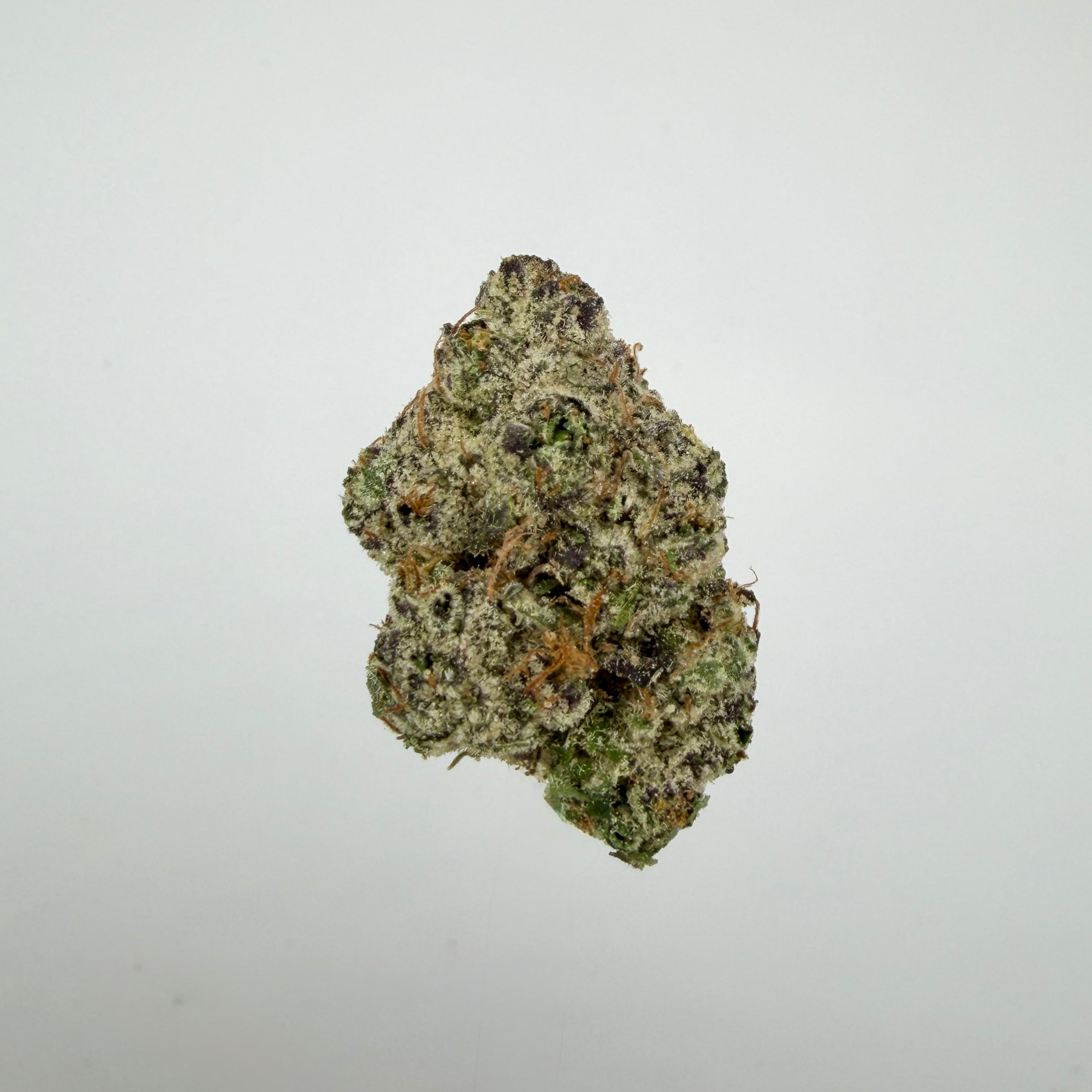 Collection of  in a gallery layout