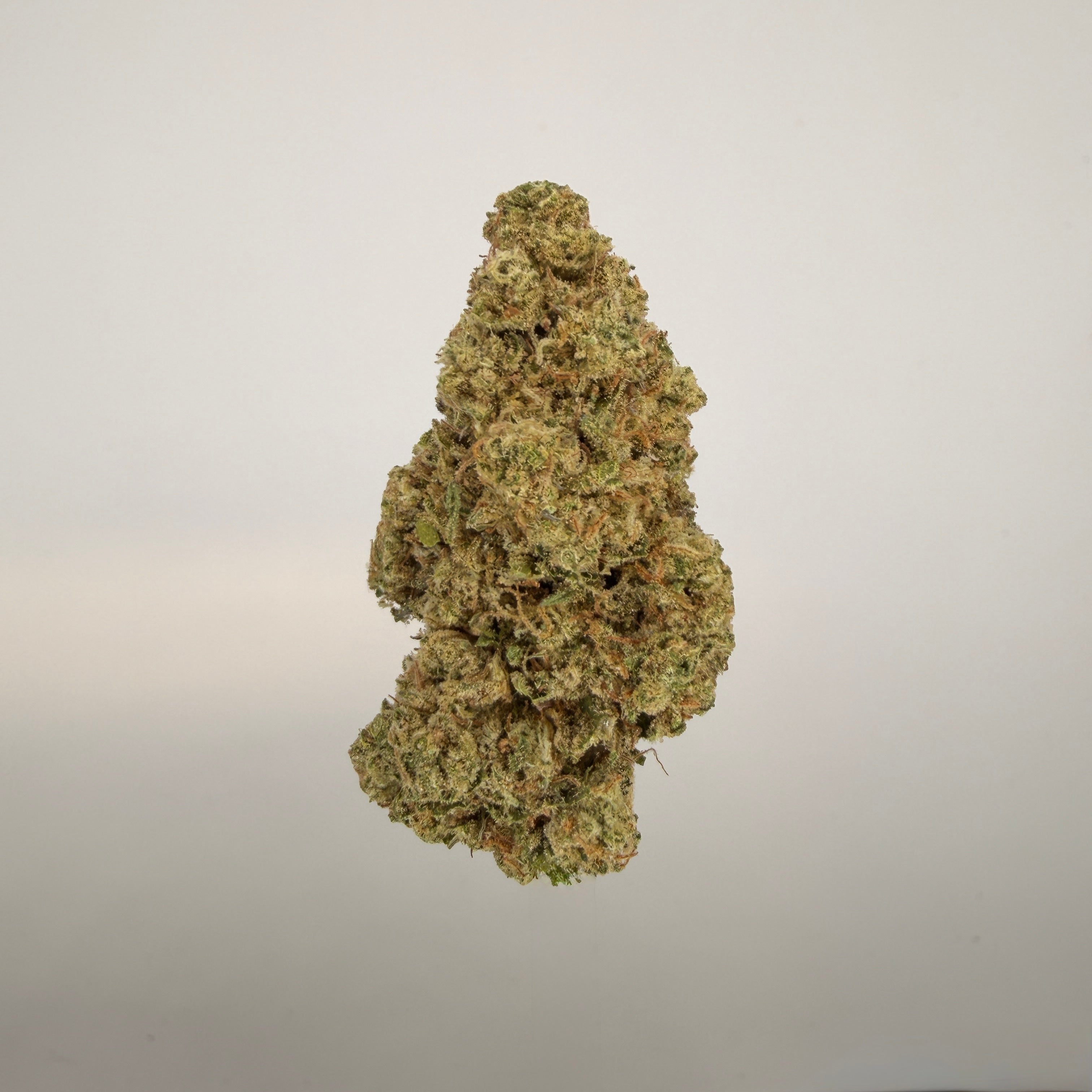 Collection of  in a gallery layout