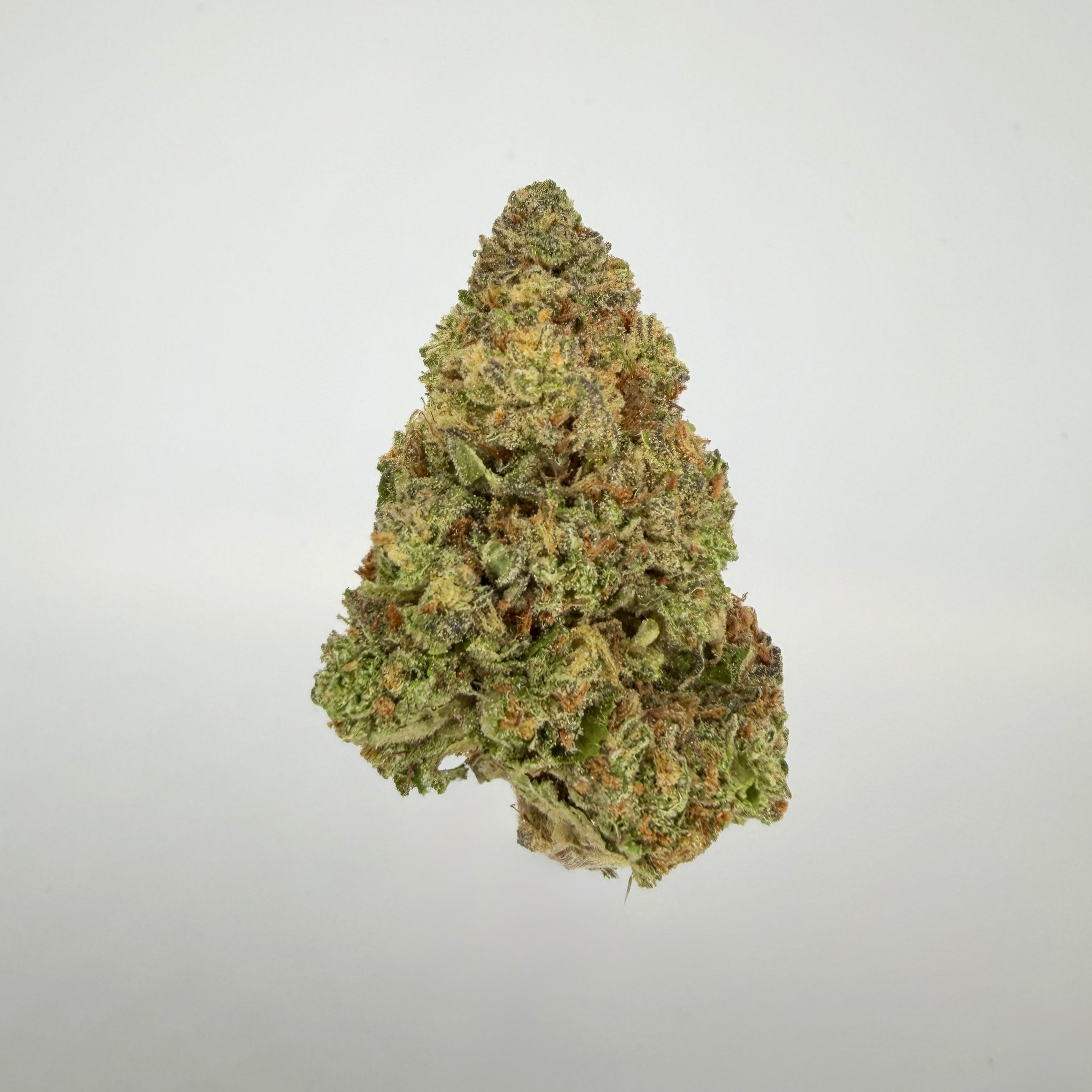 Collection of  in a gallery layout