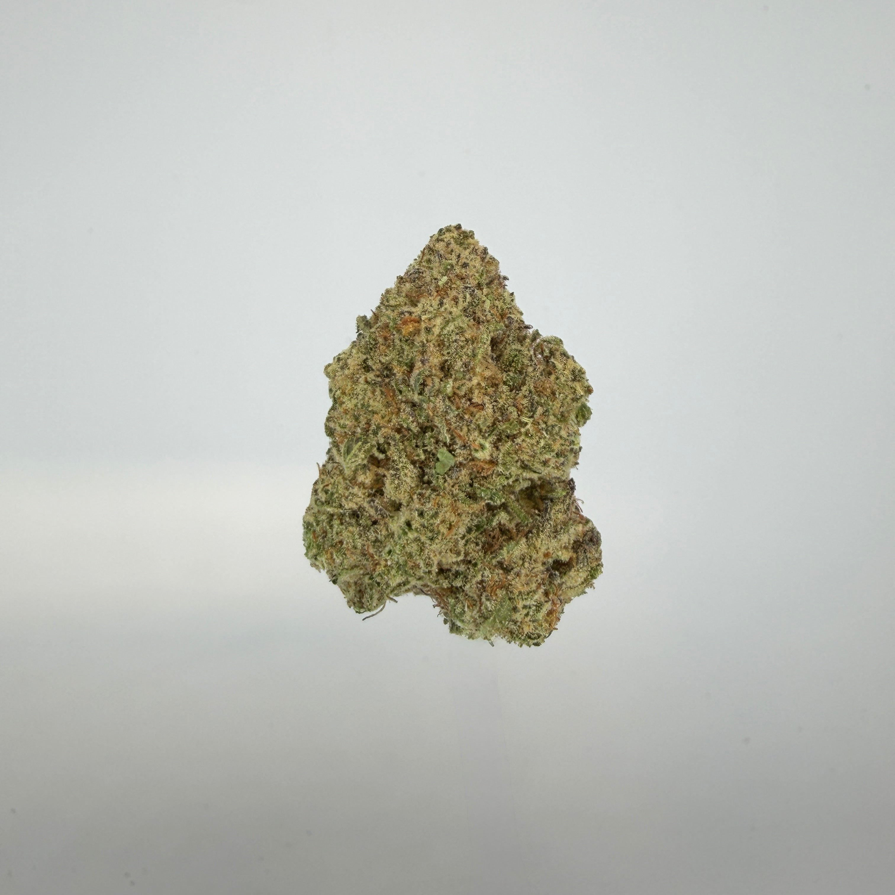 Collection of  in a gallery layout