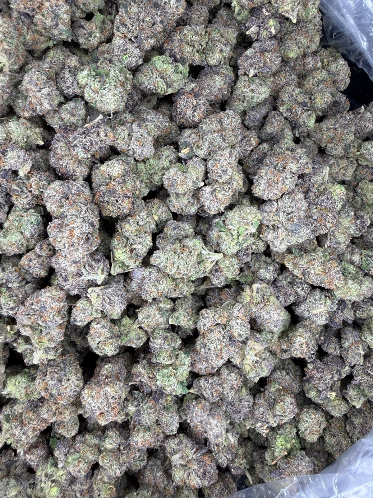 Collection of HEMP FLOWER | Gumbo in a gallery layout