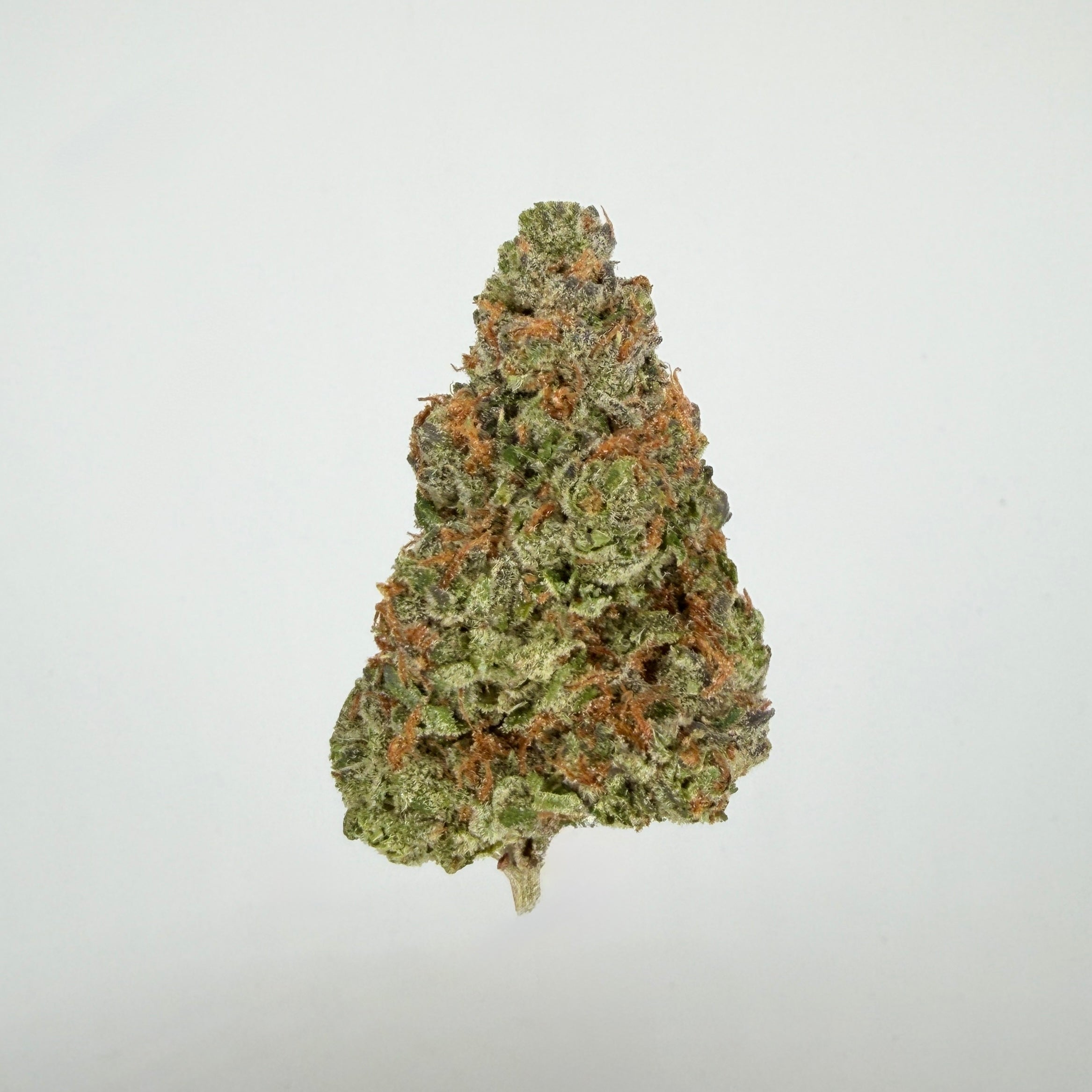 Collection of  in a gallery layout