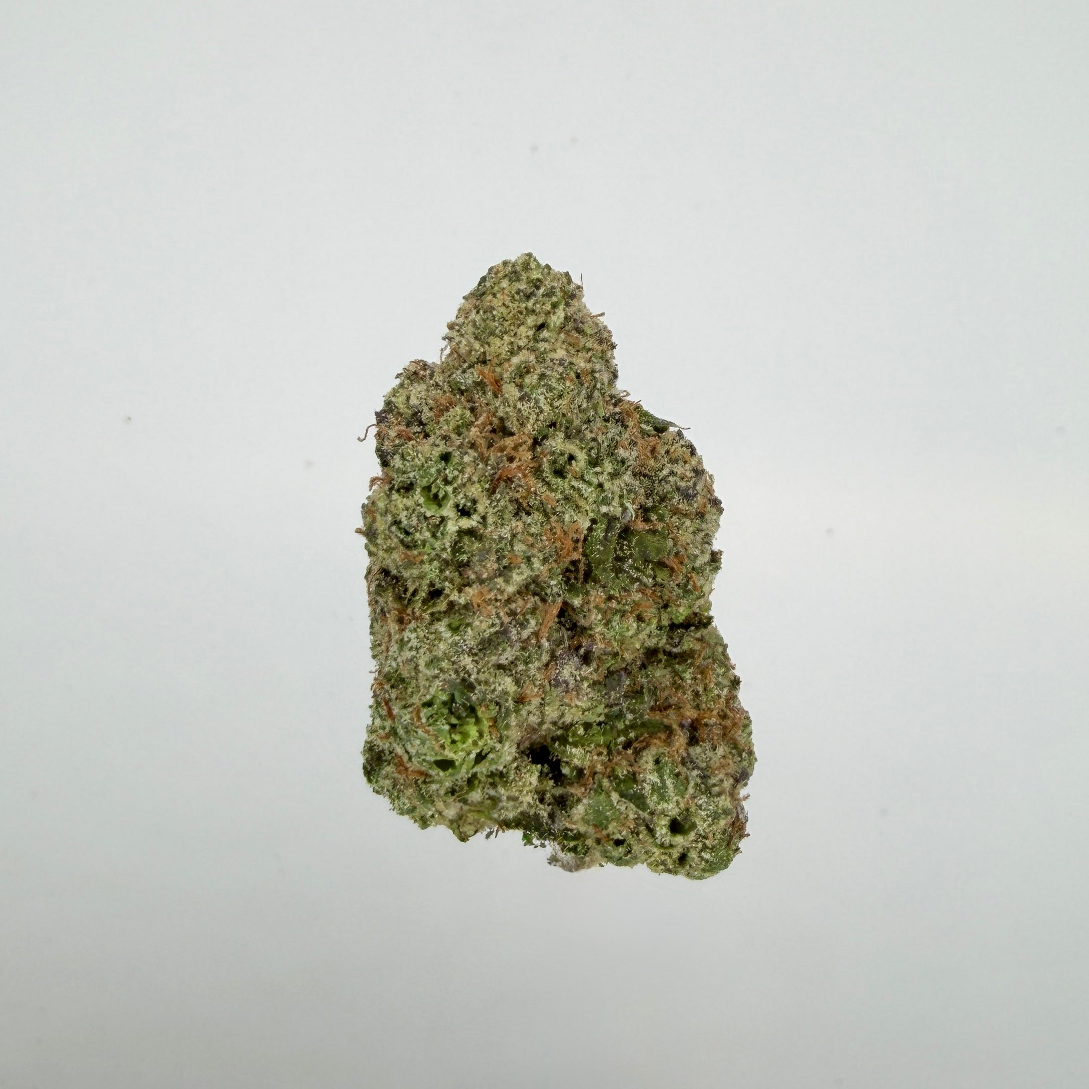 Collection of  in a gallery layout