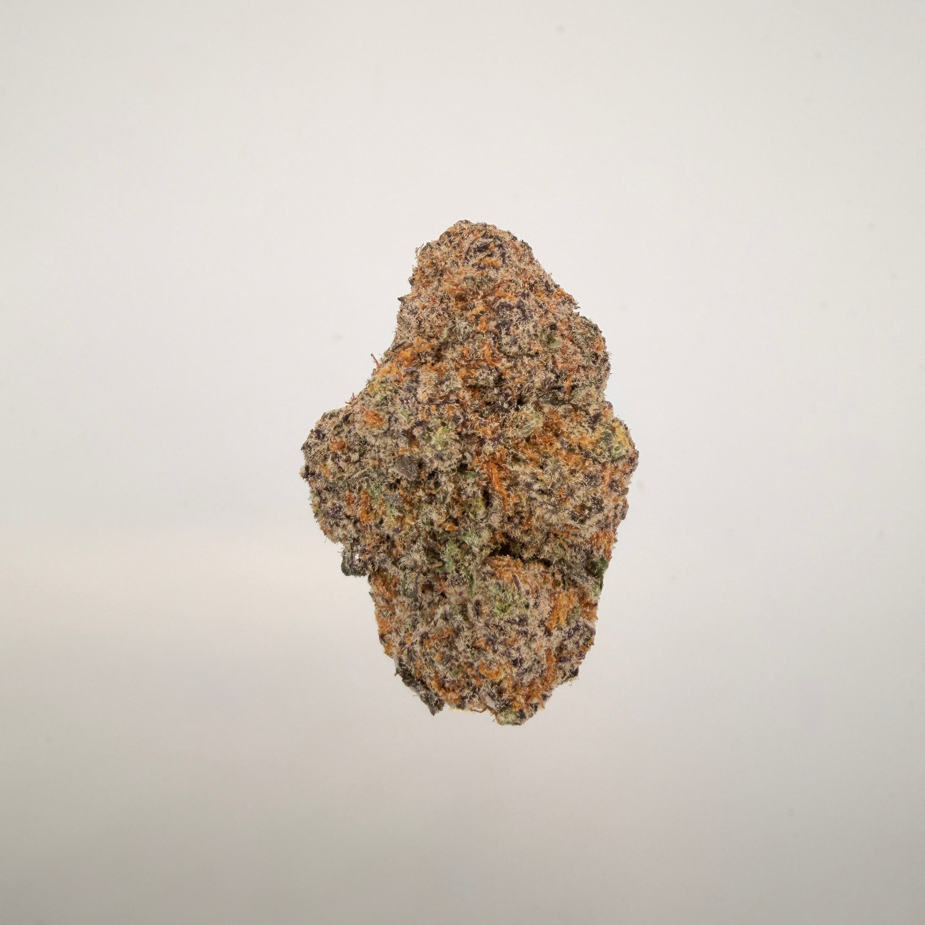 Collection of  in a gallery layout