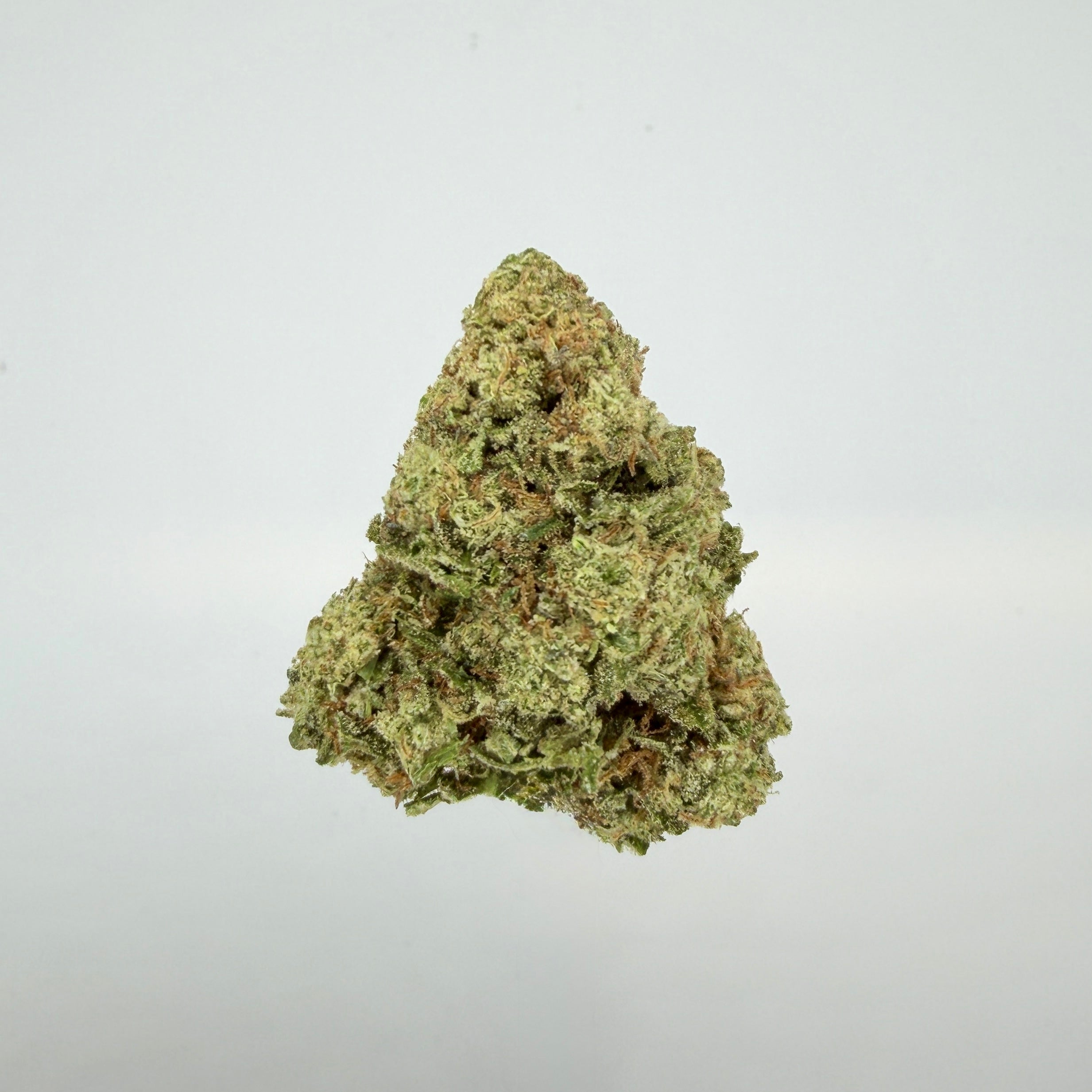 Collection of  in a gallery layout