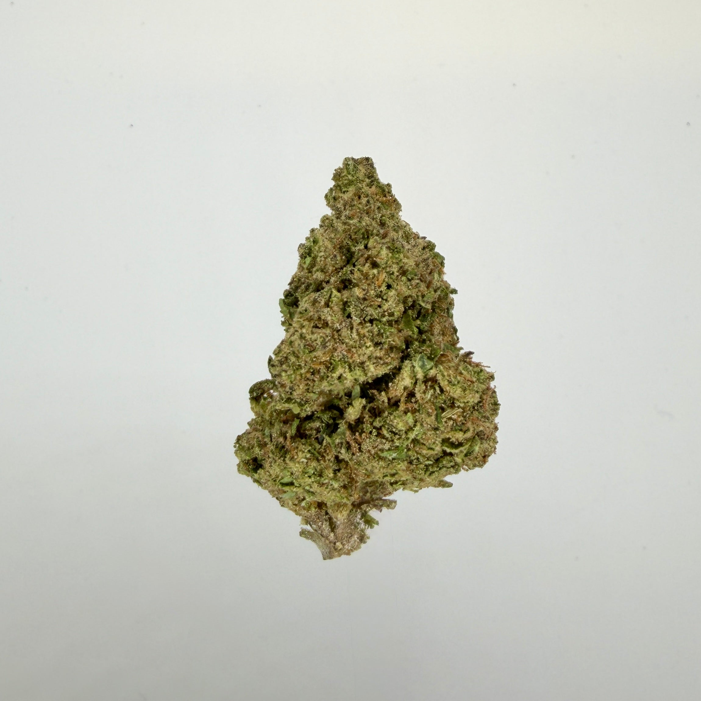 Collection of HEMP FLOWER | G41 X GG in a gallery layout