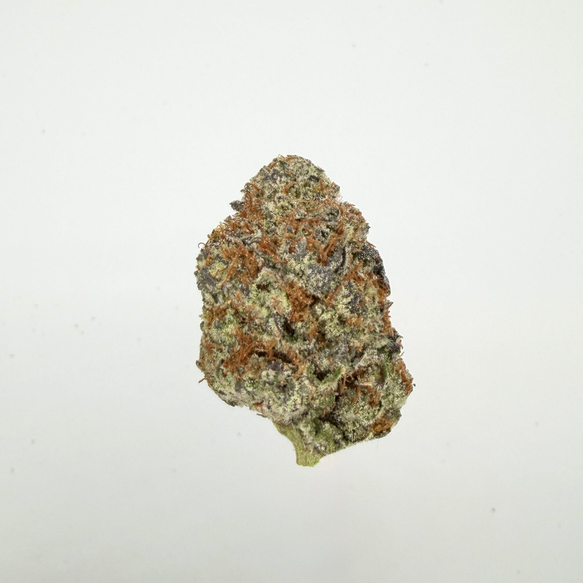 Collection of  in a gallery layout