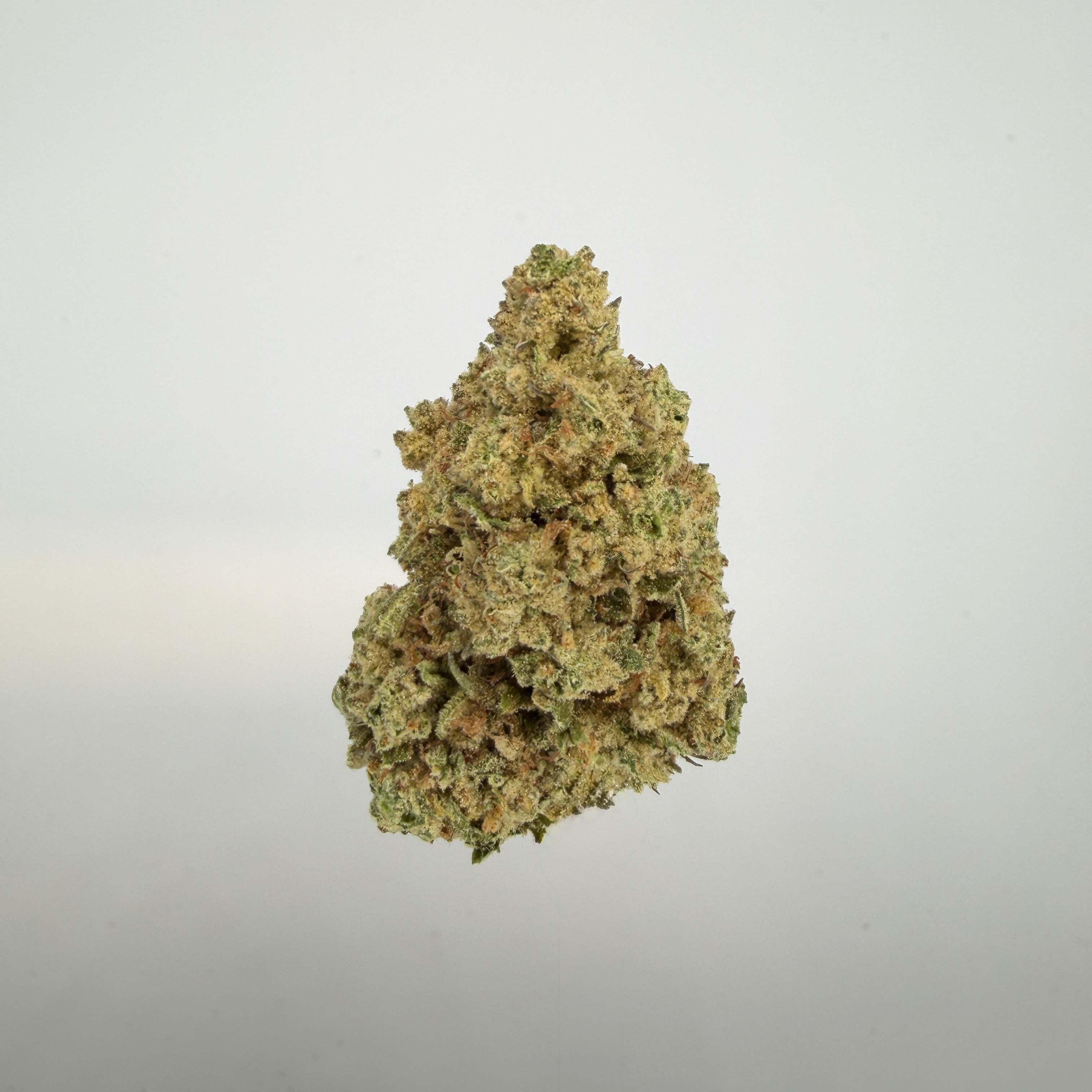 Collection of  in a gallery layout