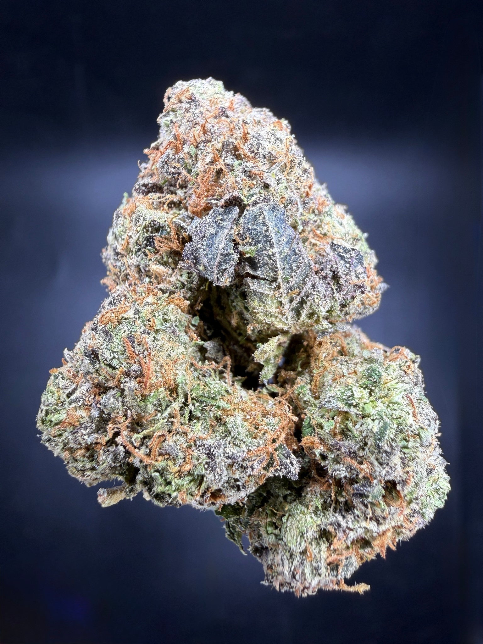 Collection of HEMP FLOWER | Rainbow Candy in a gallery layout