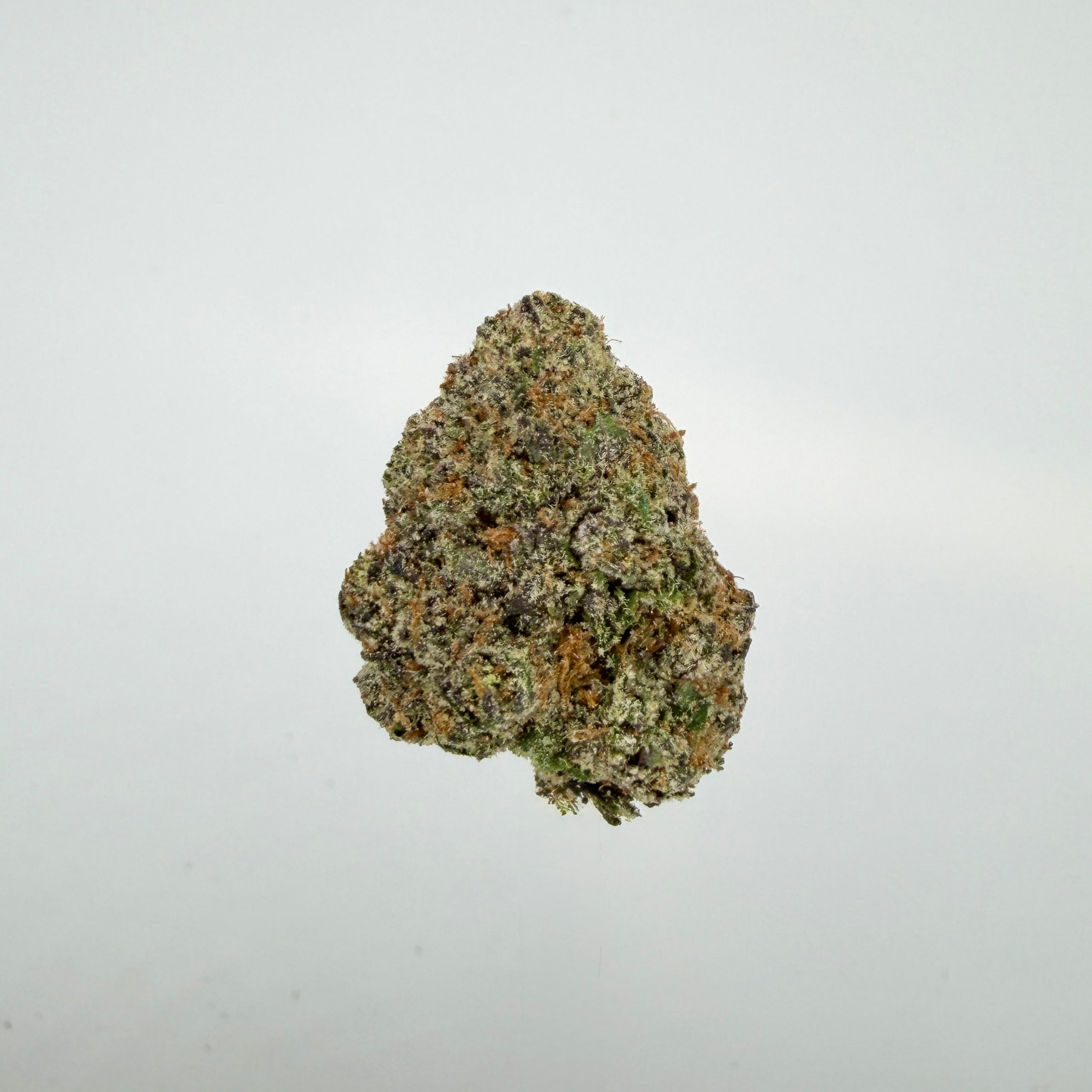 Collection of  in a gallery layout