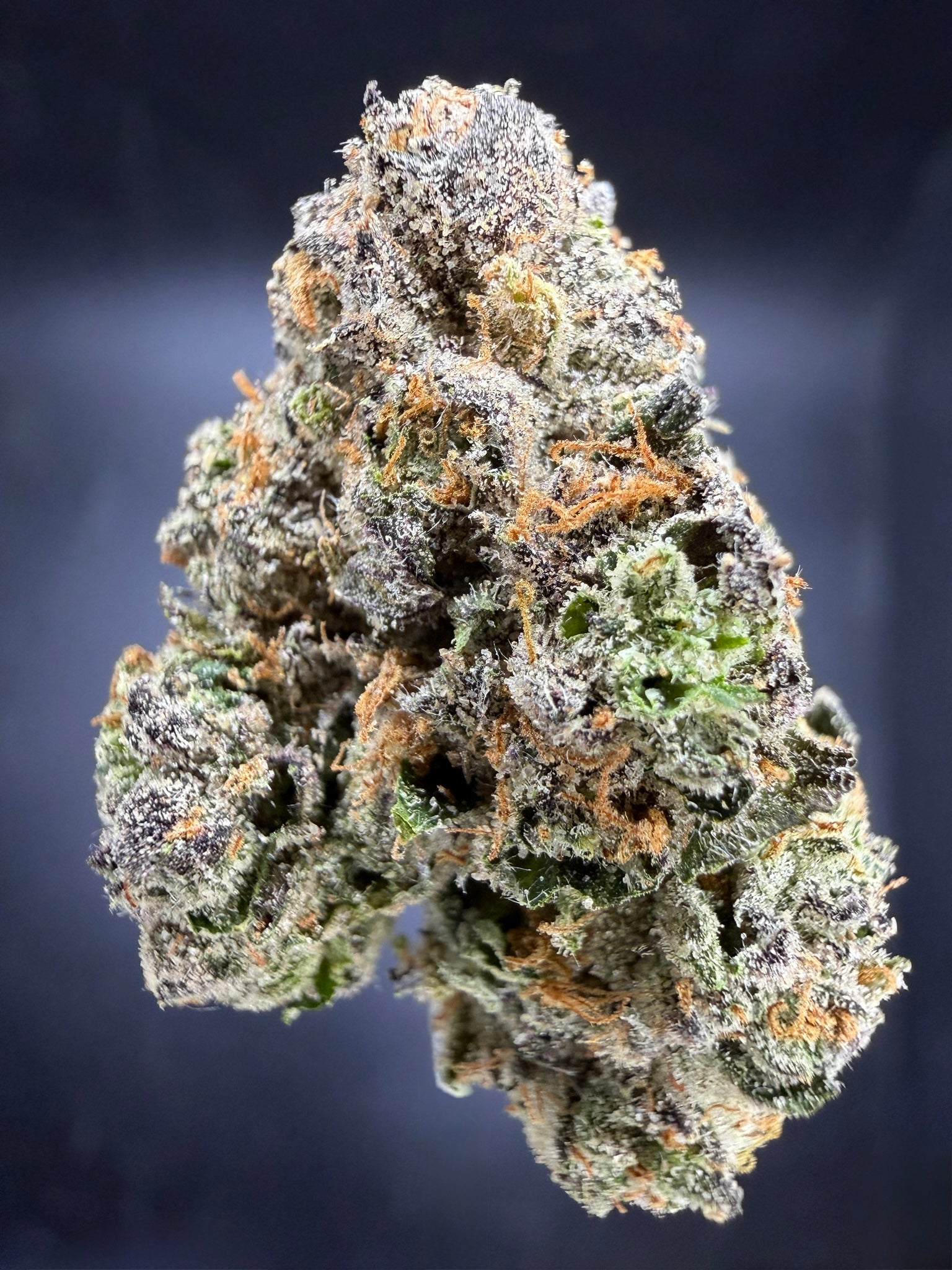 Collection of HEMP FLOWER | Mochi in a gallery layout
