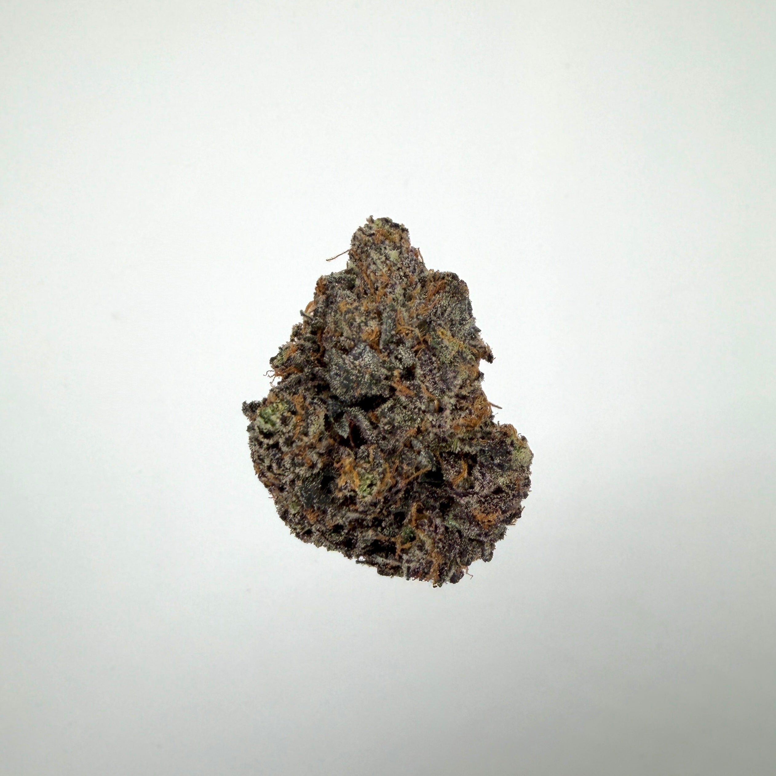 Collection of HEMP FLOWER | Sherbet Gotti in a gallery layout