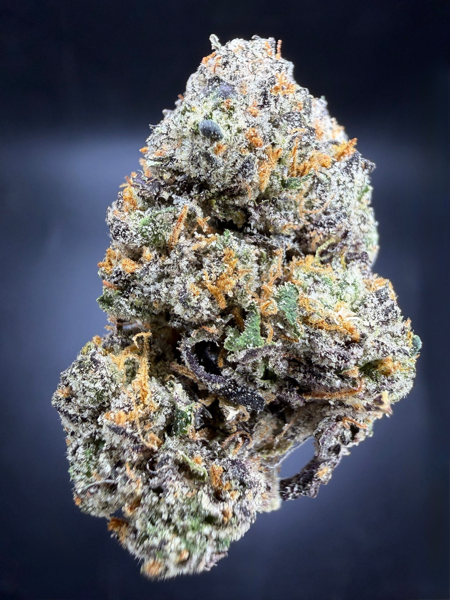 Collection of HEMP FLOWER | Candy Fumez in a gallery layout