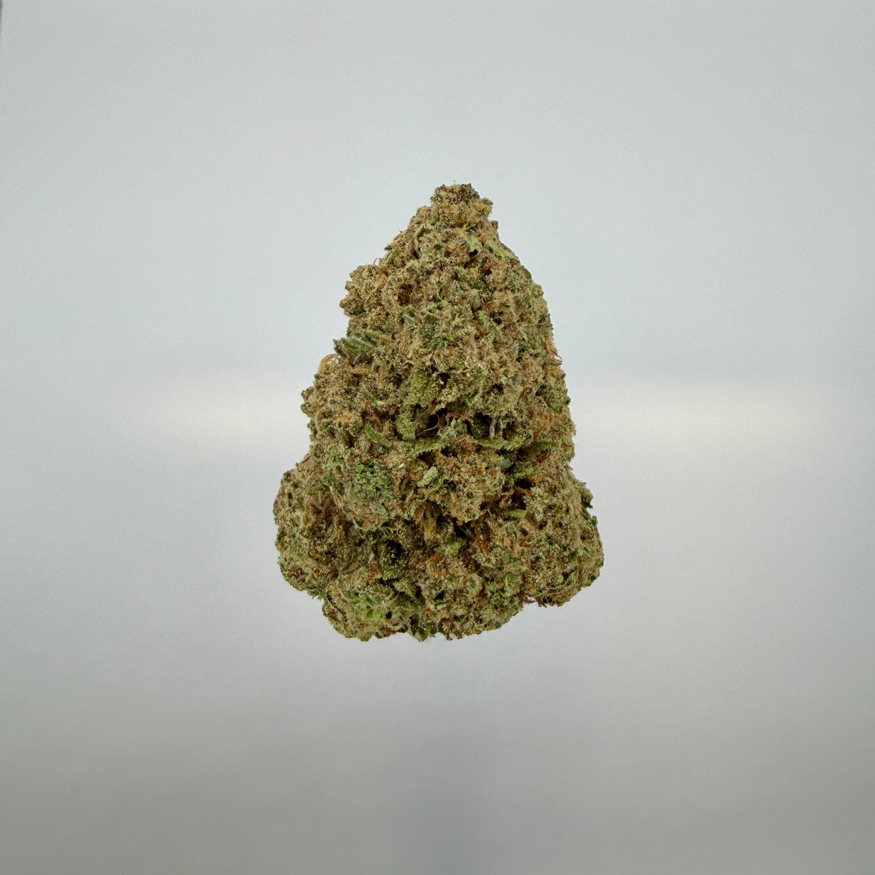 Collection of  in a gallery layout