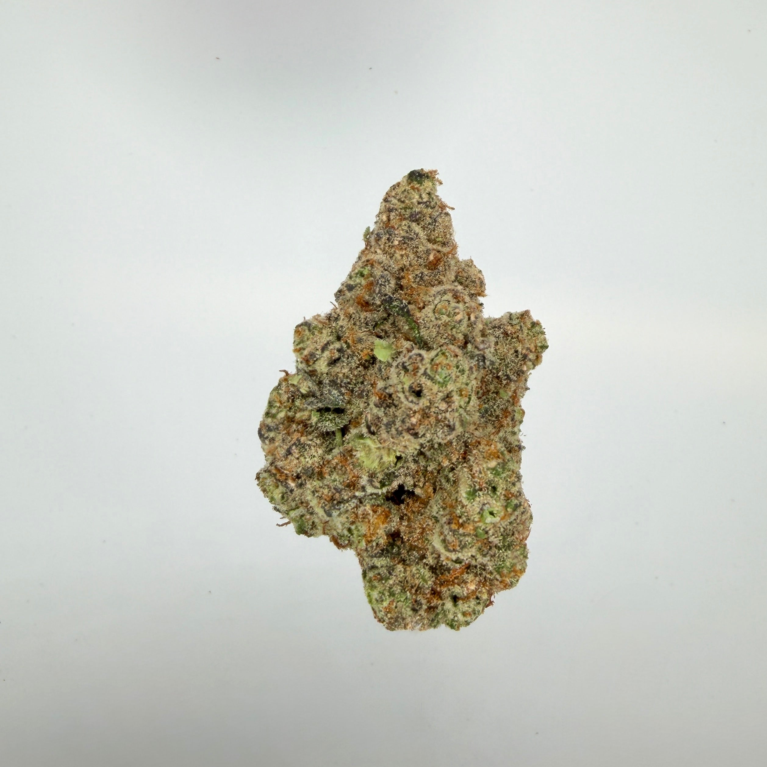 Collection of  in a gallery layout