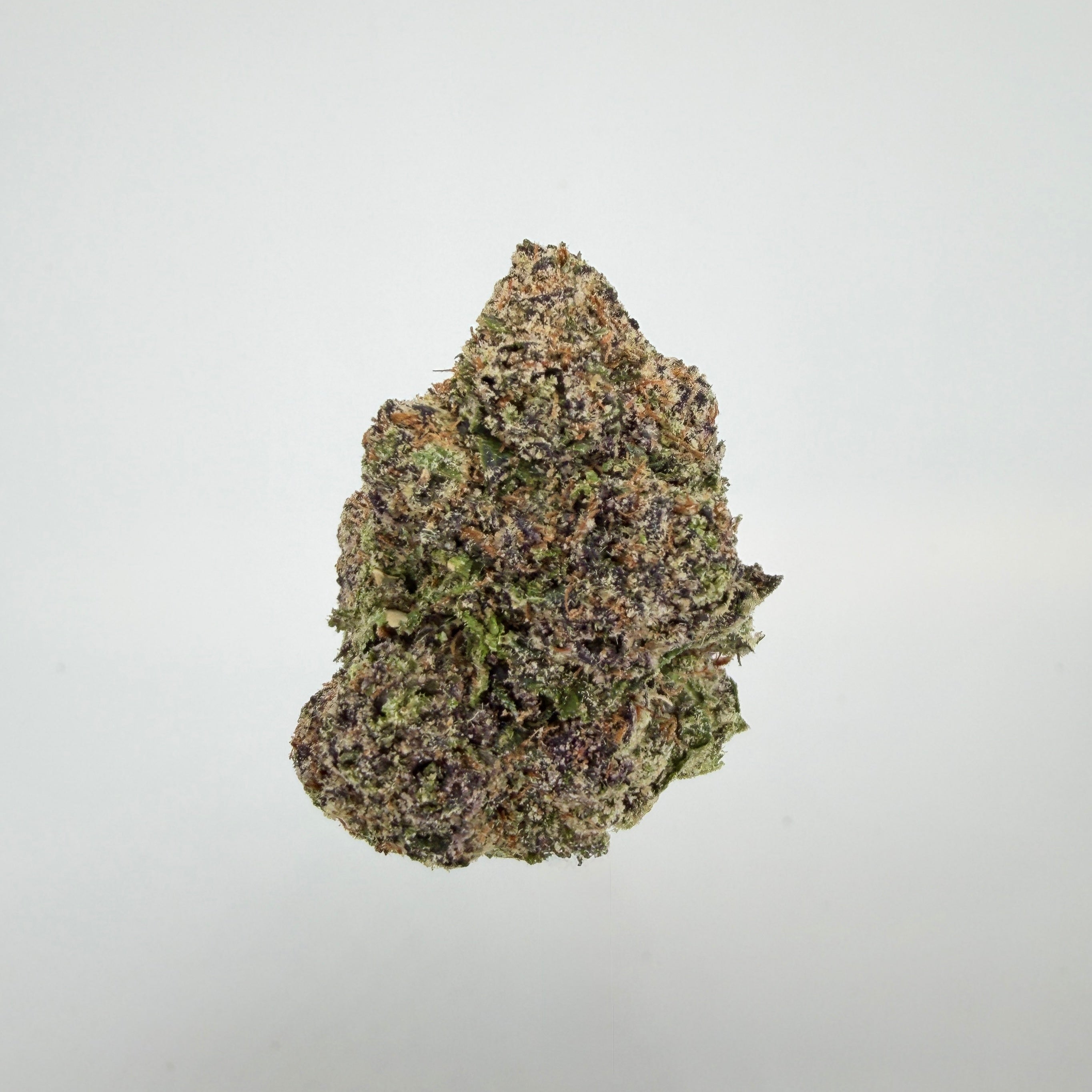 Collection of  in a gallery layout