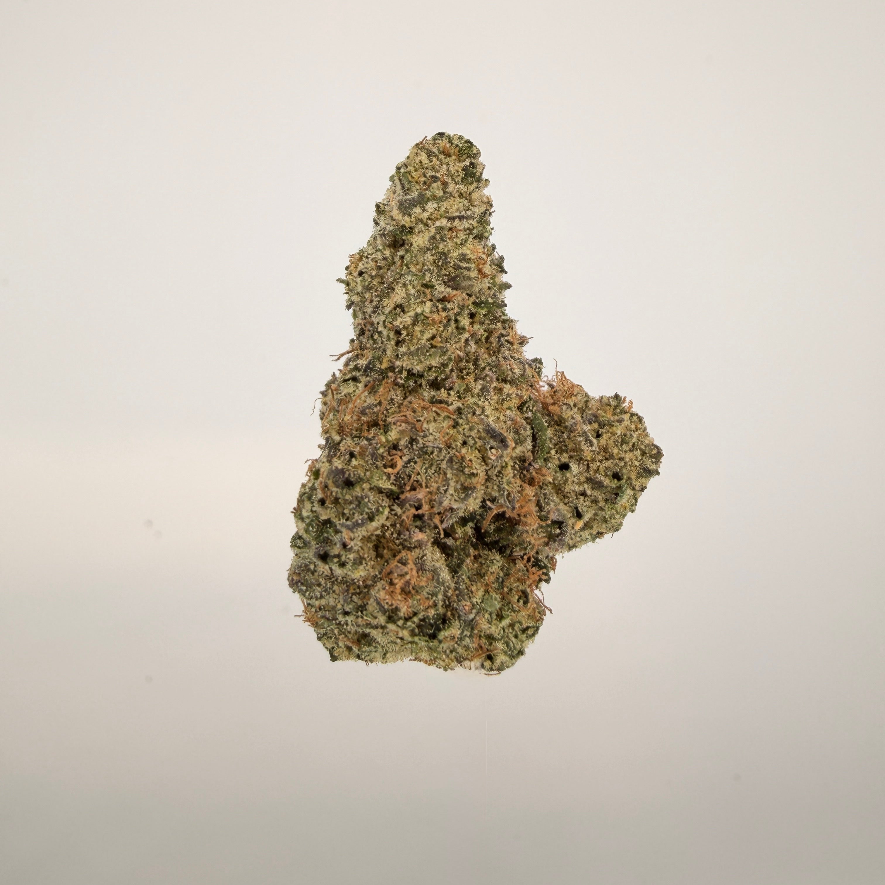 Collection of  in a gallery layout