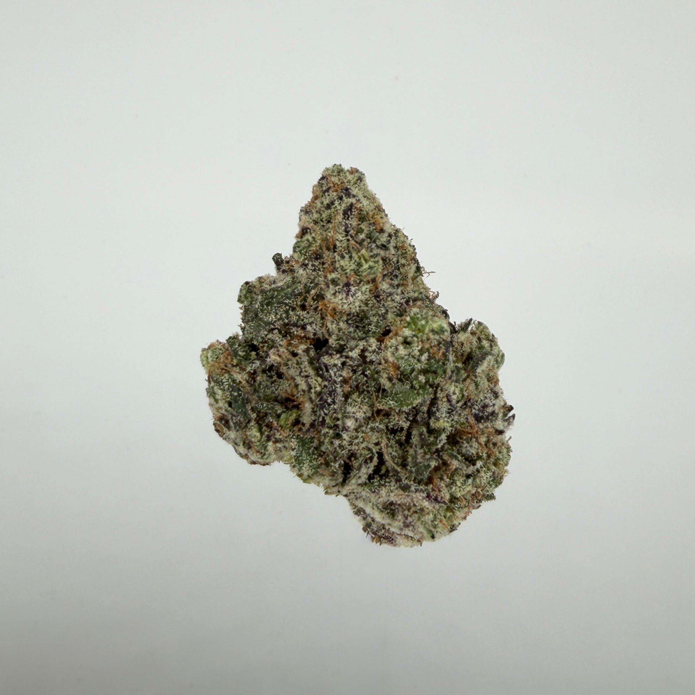 Collection of  in a gallery layout