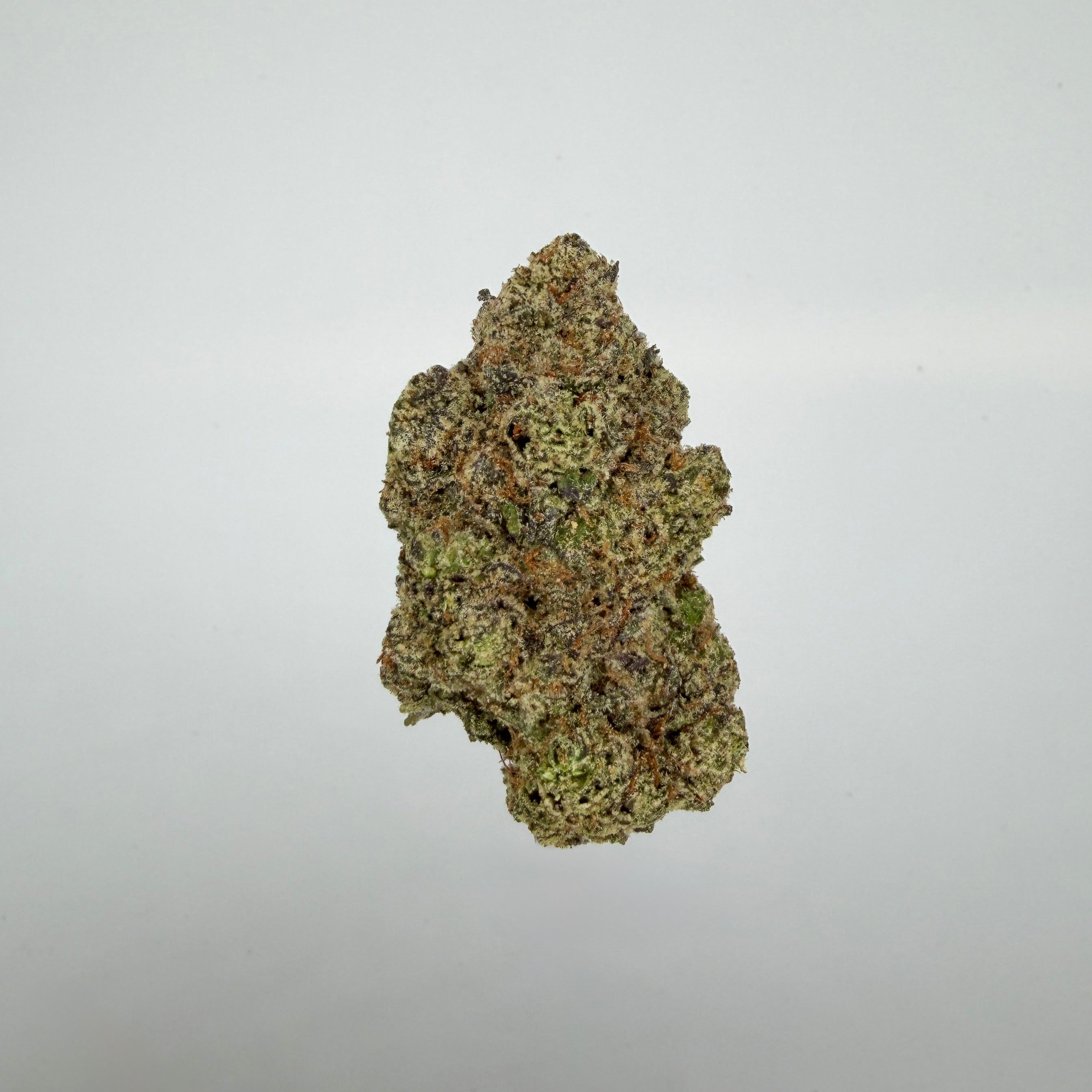 Collection of  in a gallery layout