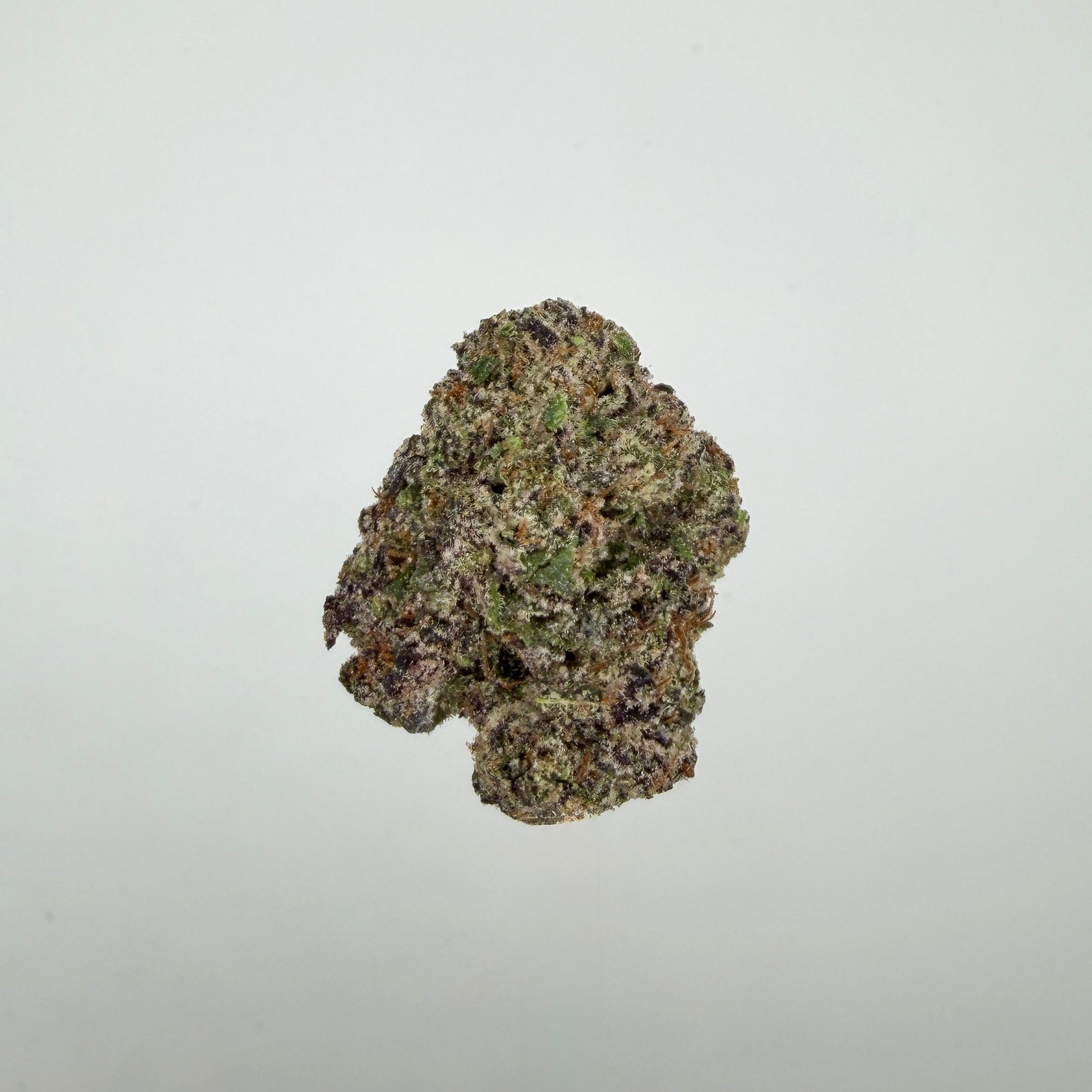 Collection of  in a gallery layout