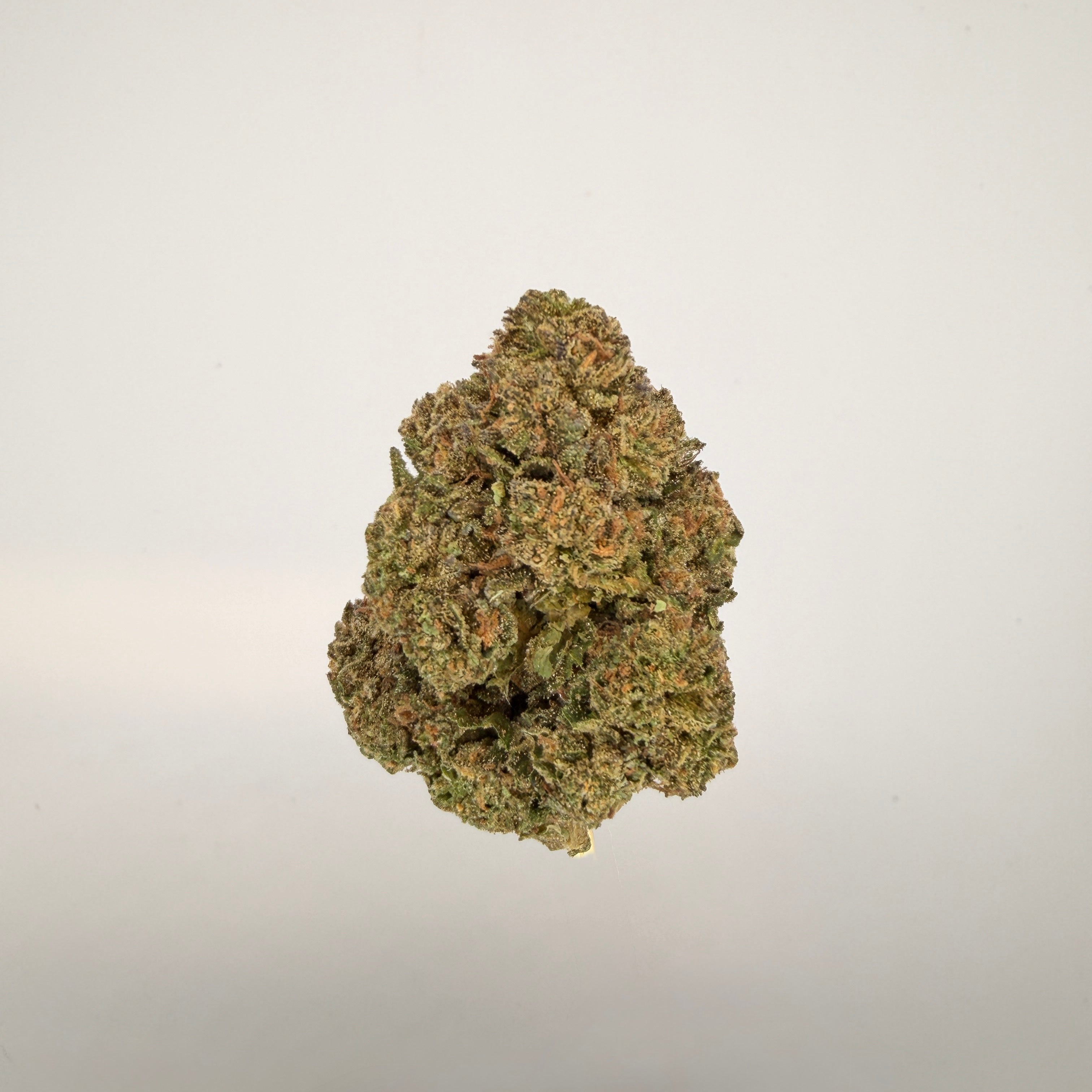 Collection of  in a gallery layout