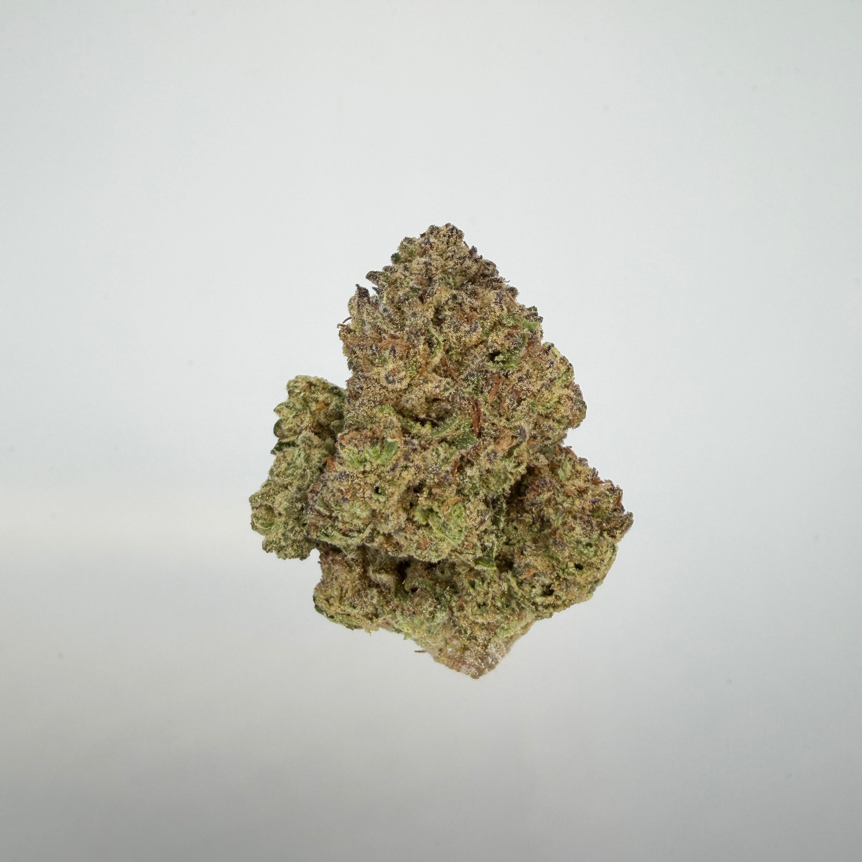 Collection of  in a gallery layout