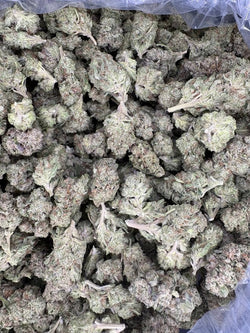 Collection of Apple Tart Hemp - 23.367% - HF055 in a gallery layout