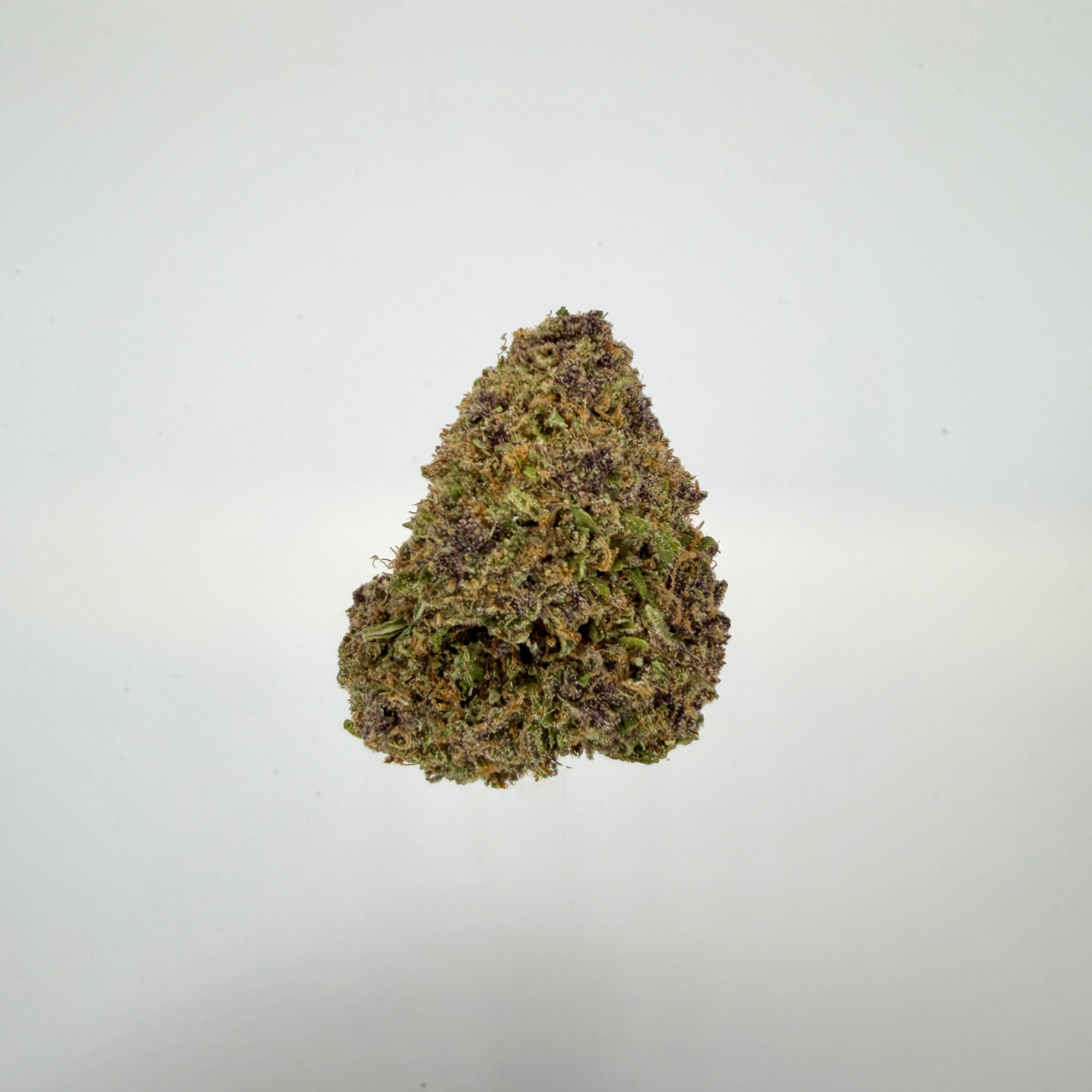 Collection of  in a gallery layout