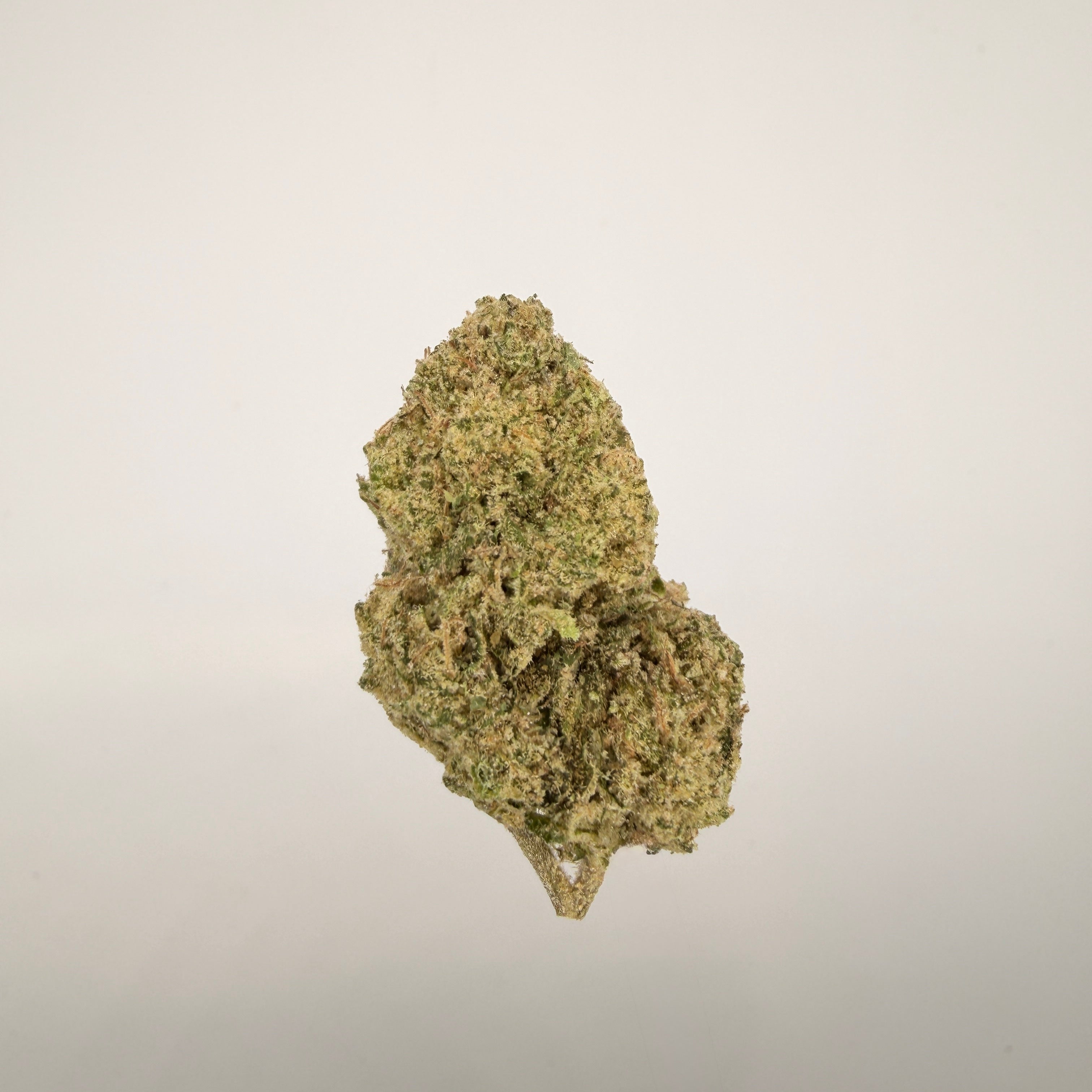 Collection of  in a gallery layout