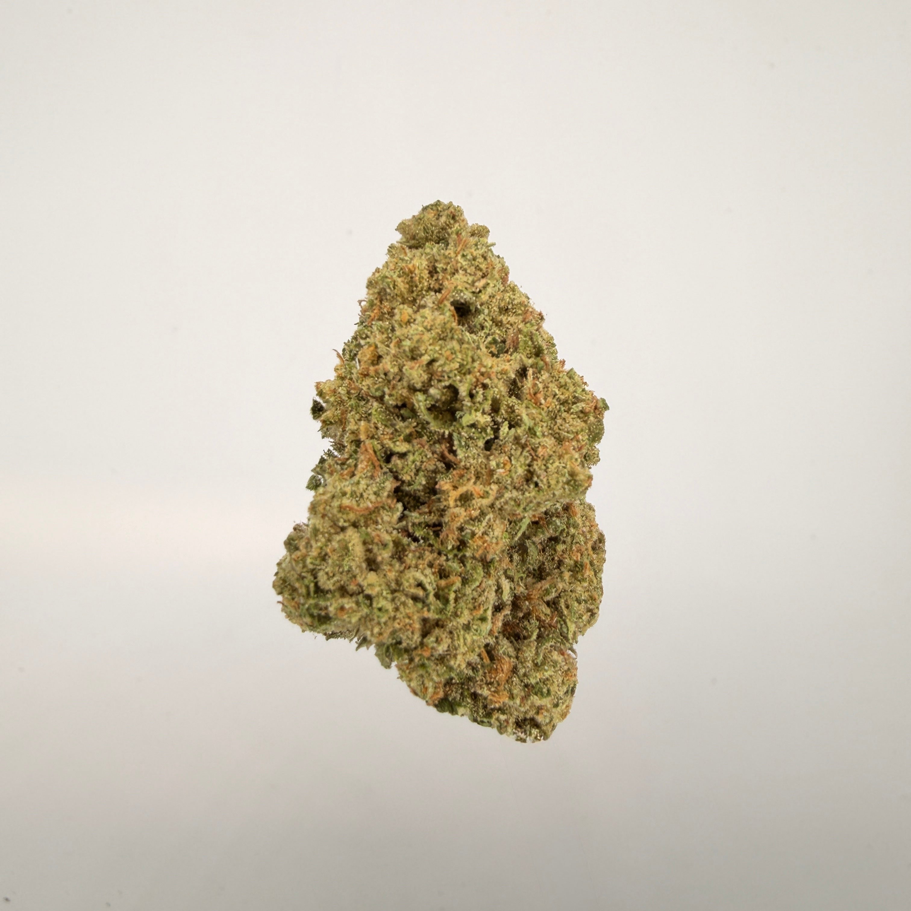 Collection of  in a gallery layout