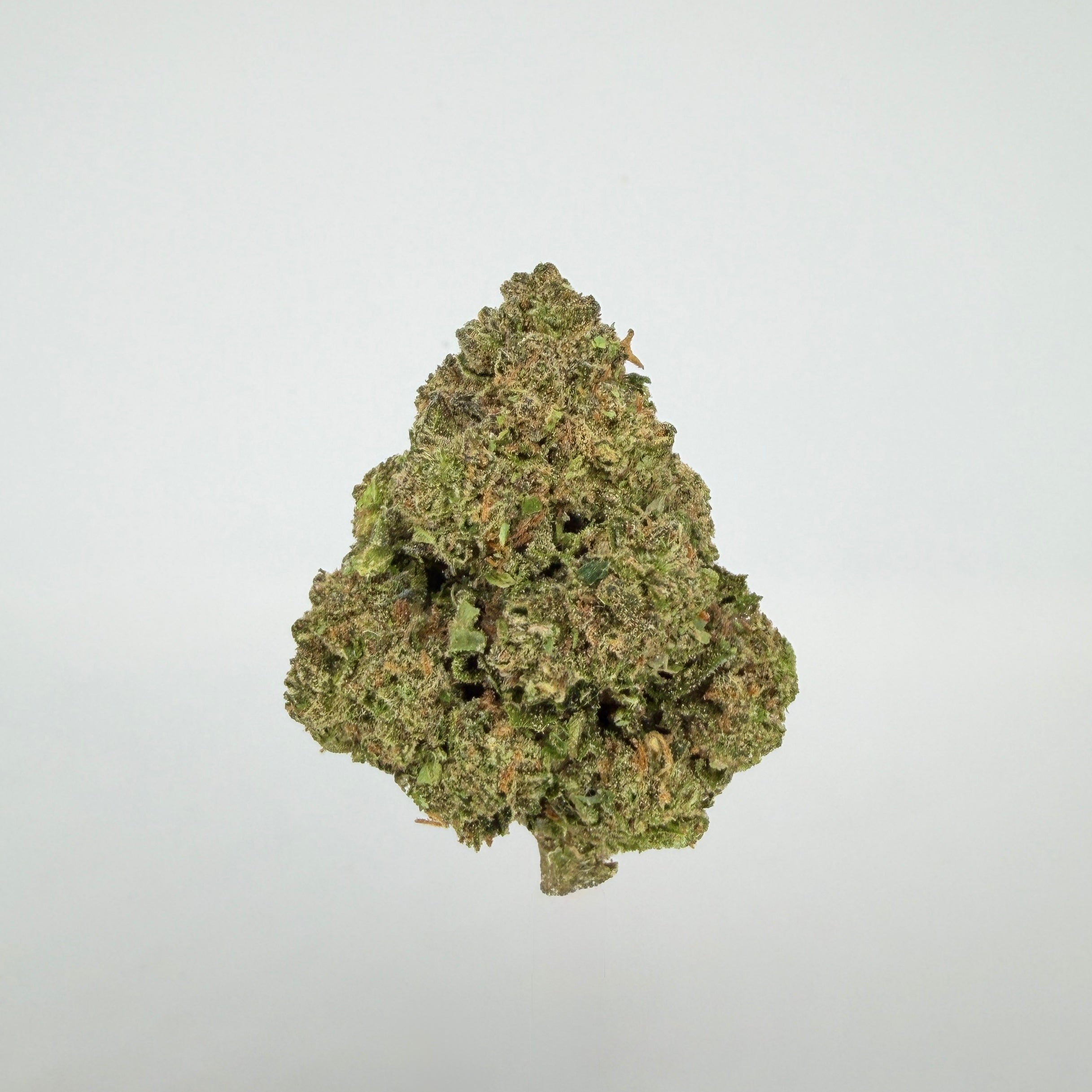 Collection of  in a gallery layout