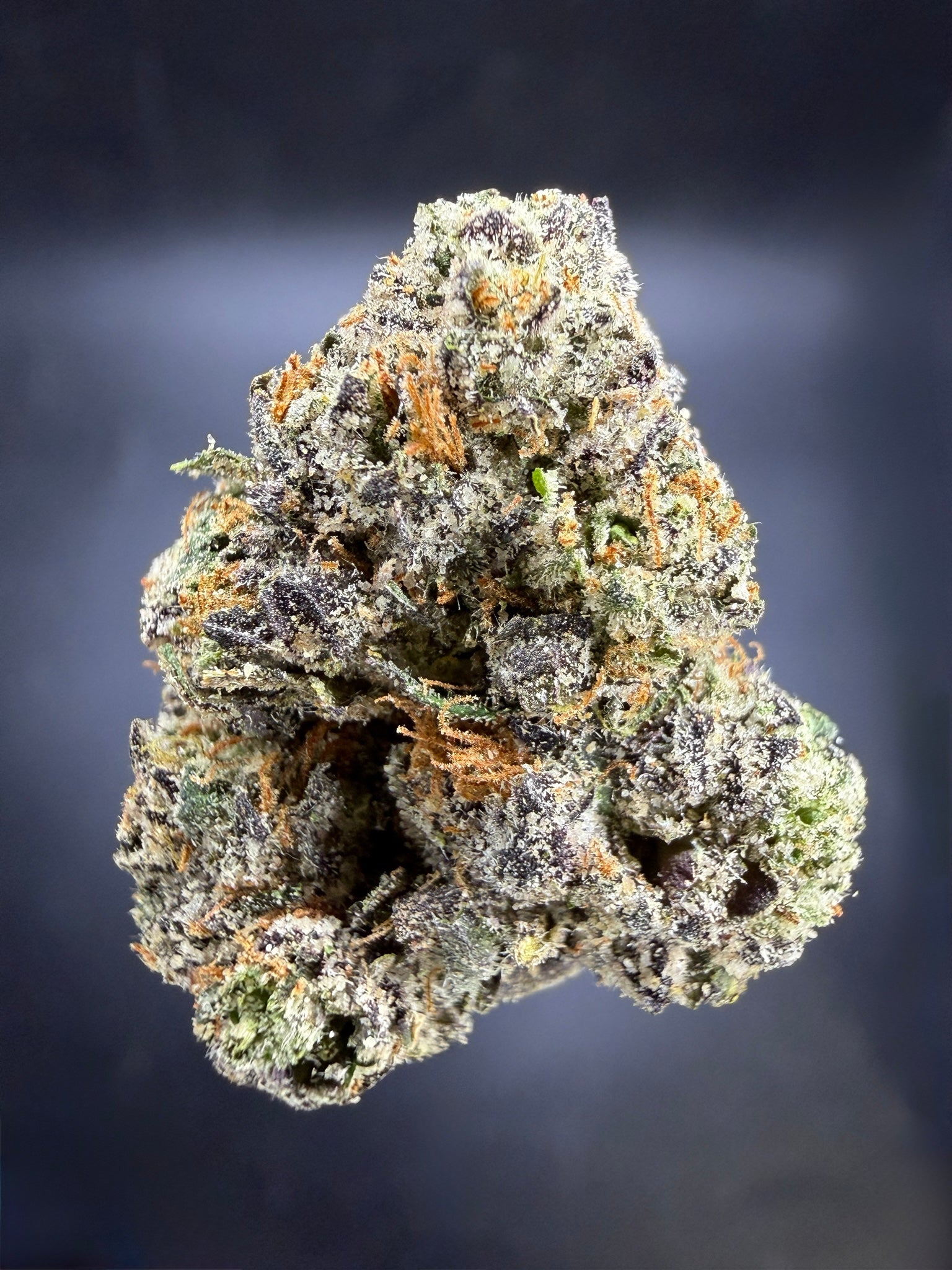 Collection of HEMP FLOWER | Blue Nerds in a gallery layout