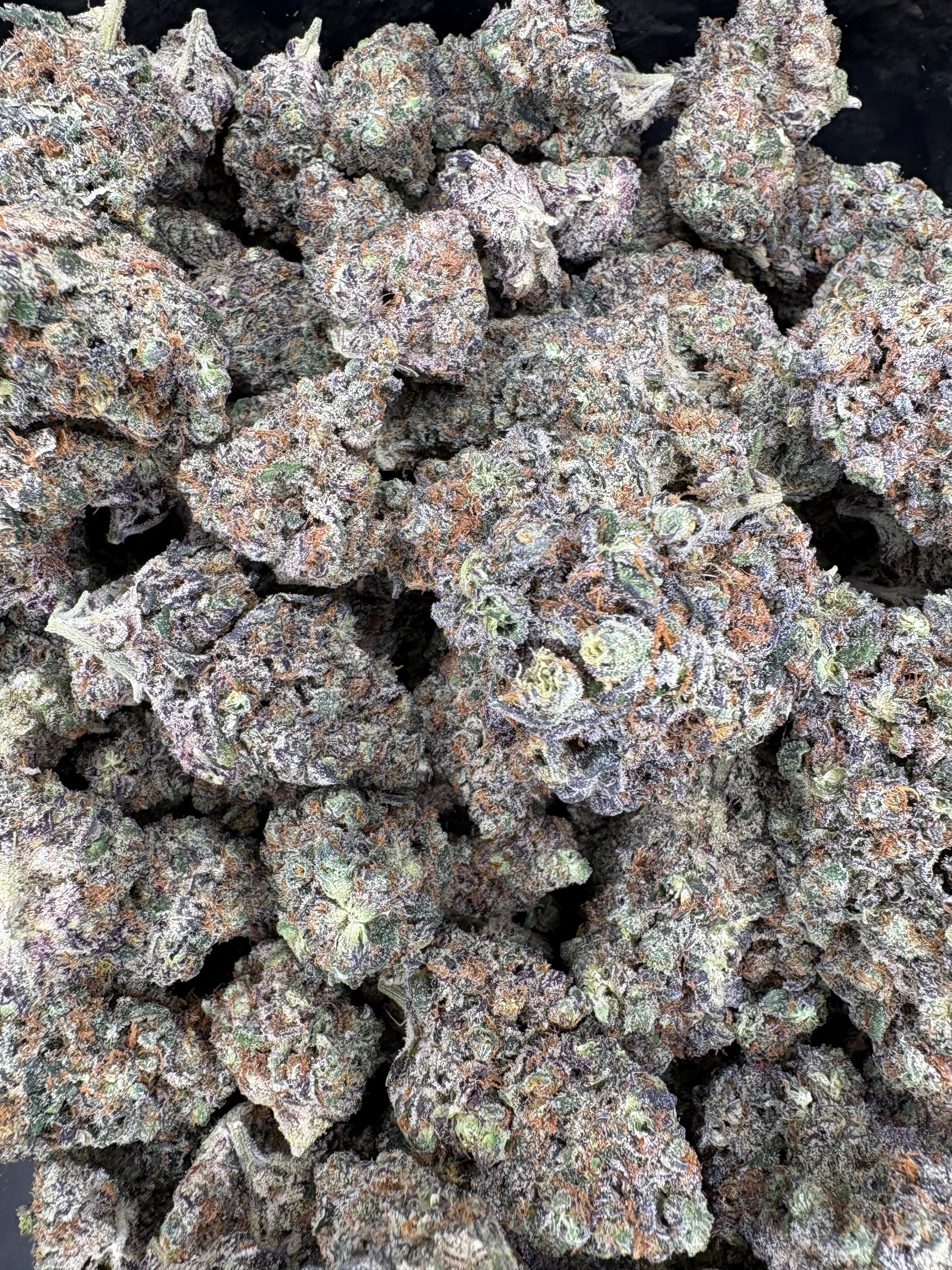 Collection of Bahama Butter Hemp - 48-305 in a gallery layout