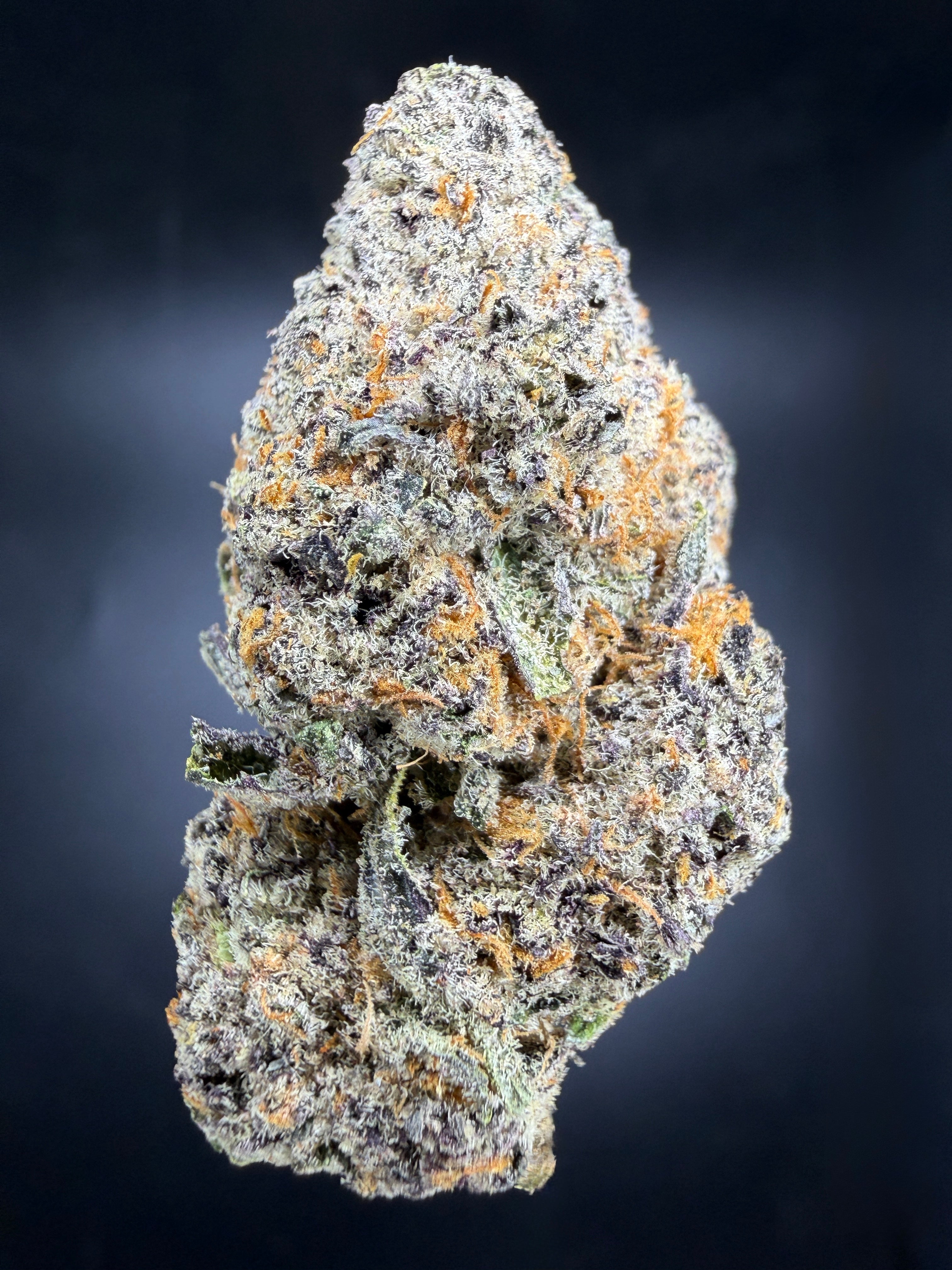 Collection of HEMP FLOWER | Blue Gushers in a gallery layout