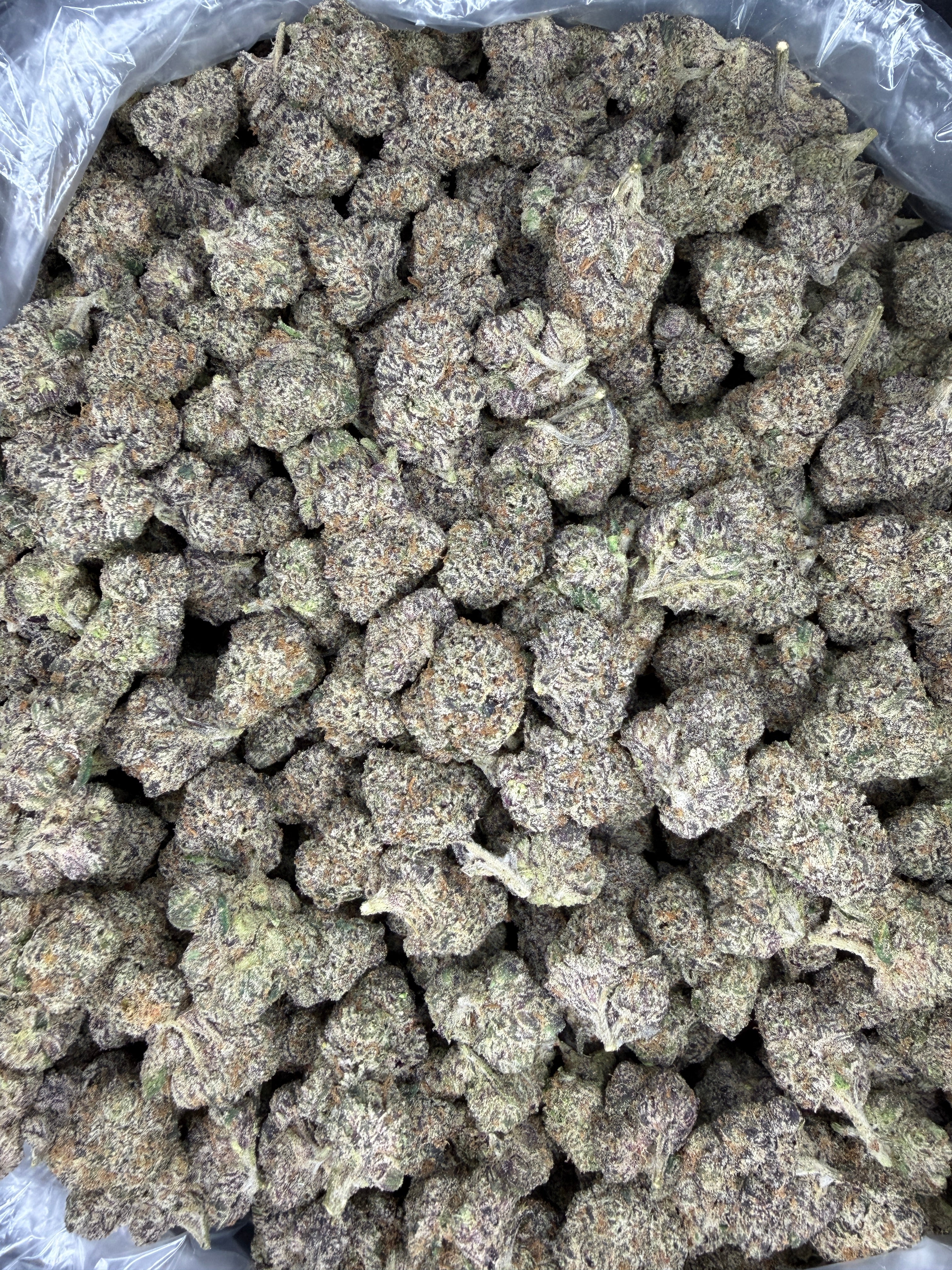 Collection of HEMP FLOWER | Blue Nerds in a gallery layout
