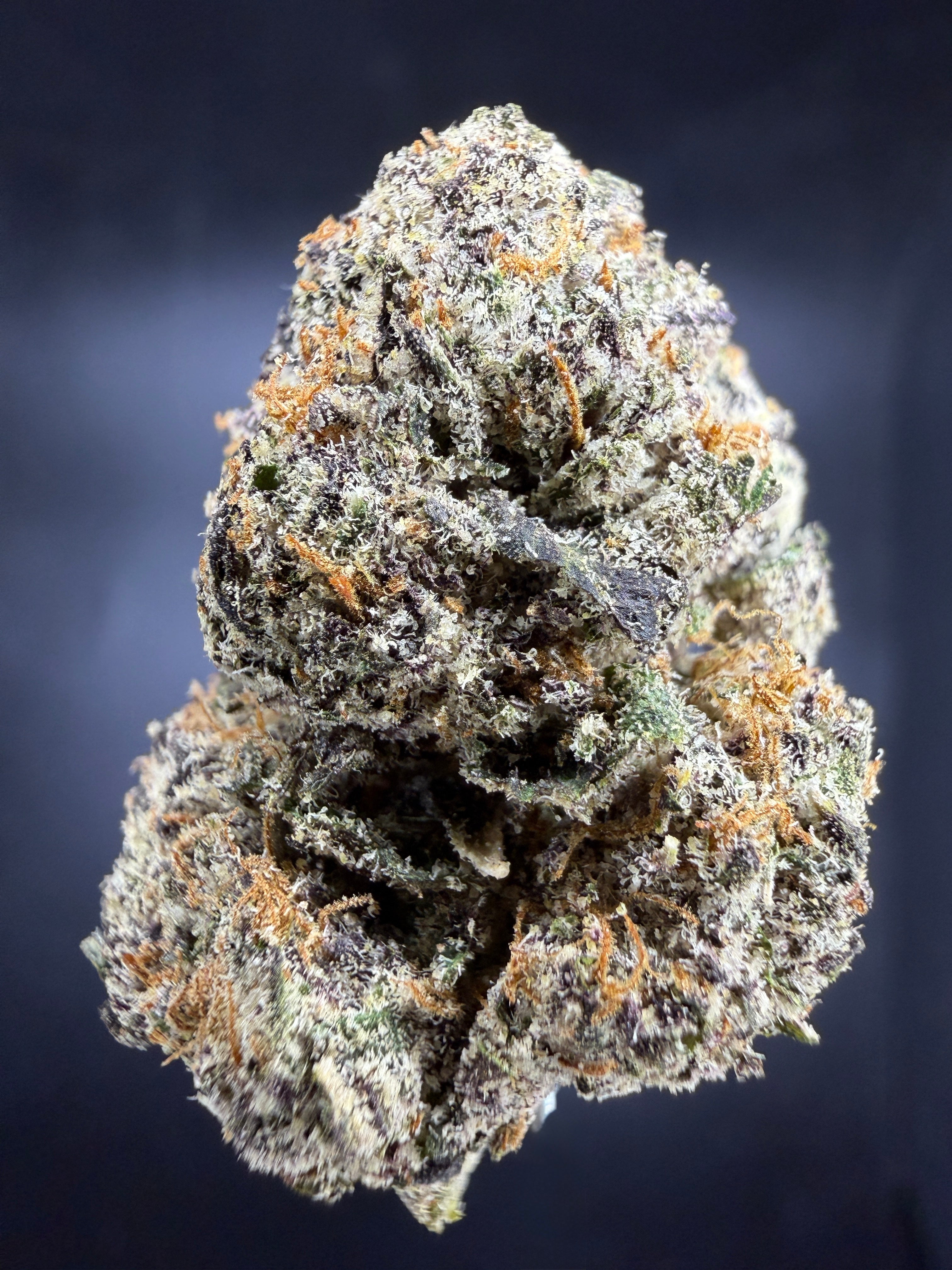Collection of HEMP FLOWER | Blue Nerds in a gallery layout