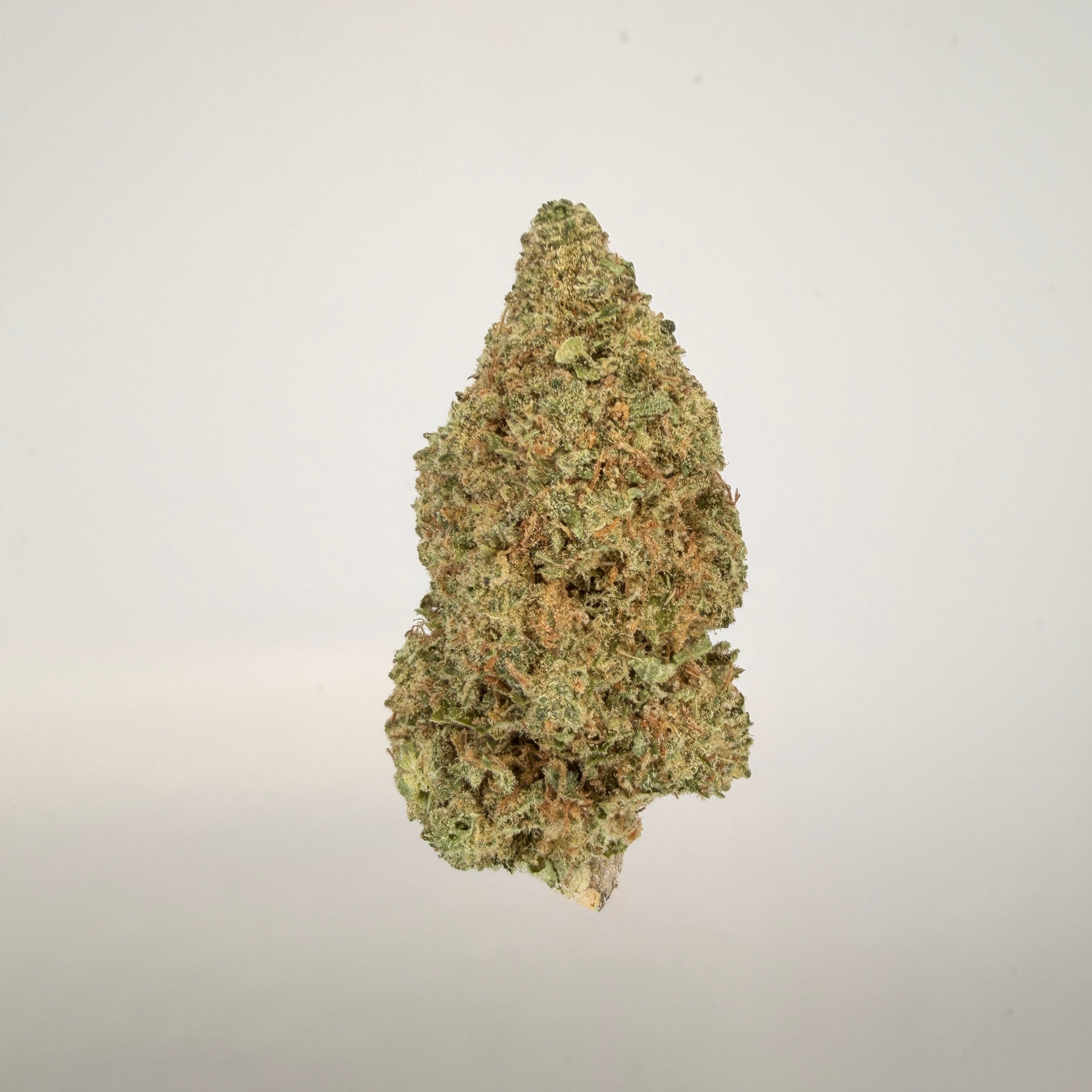 Collection of  in a gallery layout