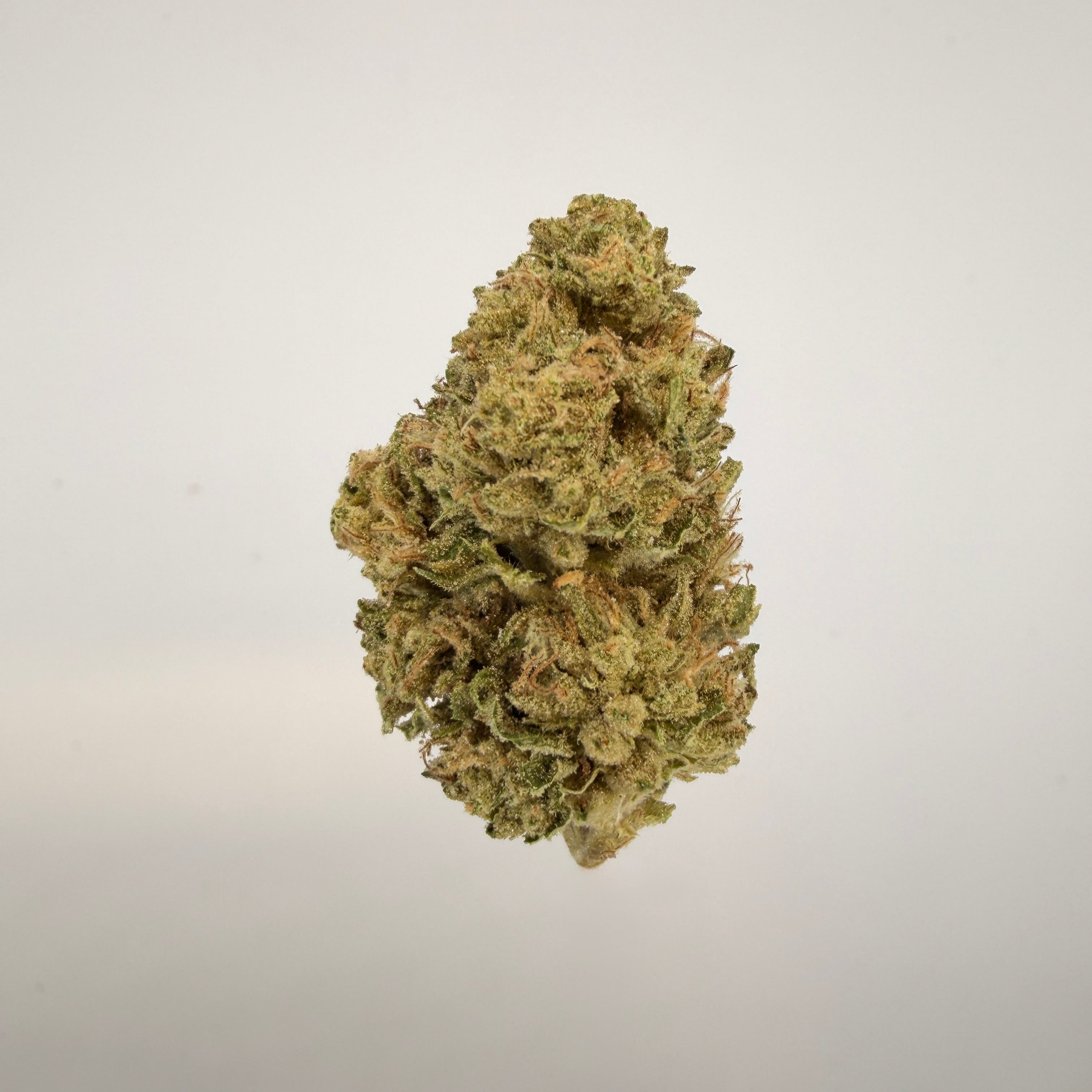 Collection of  in a gallery layout