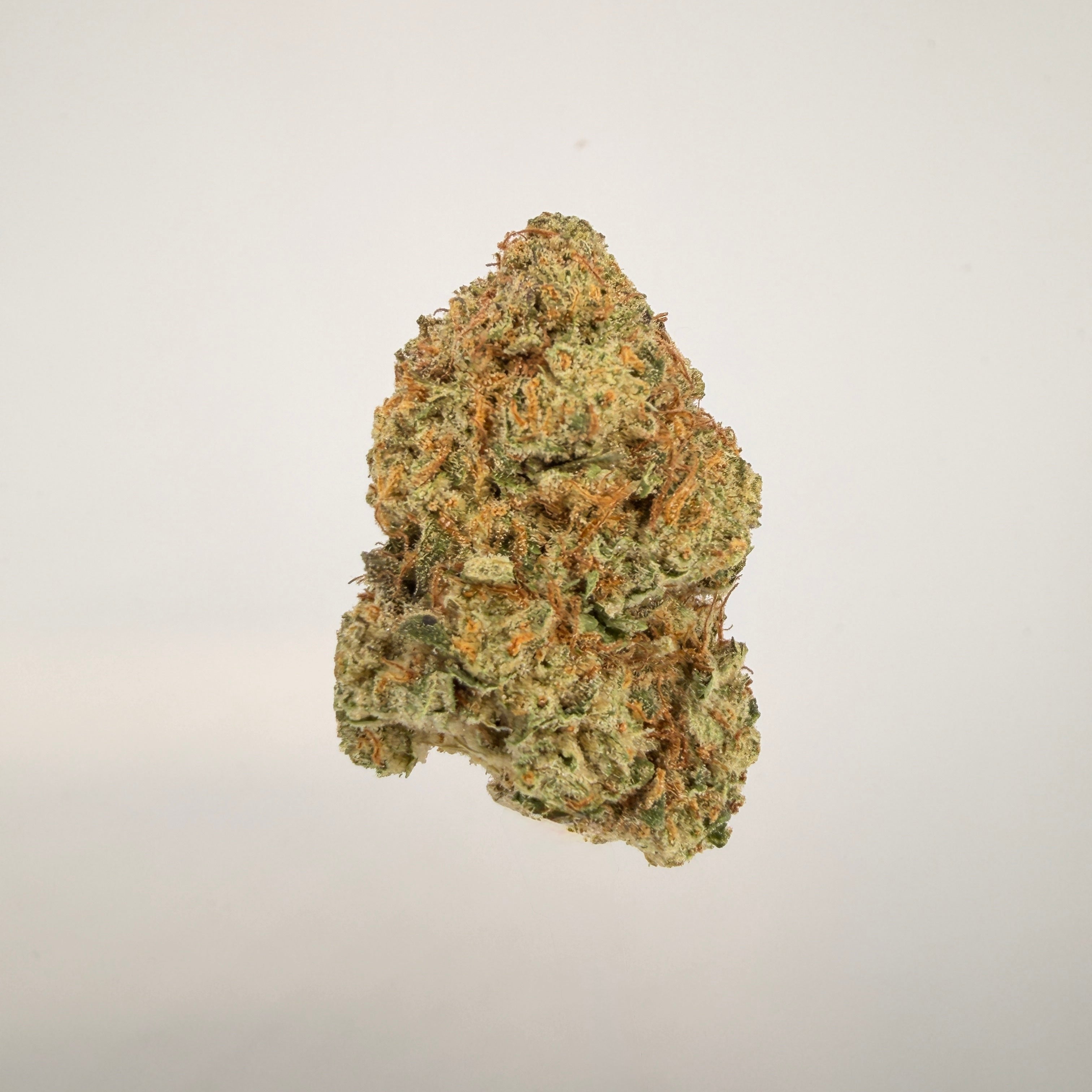 Collection of  in a gallery layout