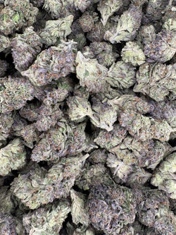 Collection of Cherry Biscotti Hemp - 21.739% - HF003 in a gallery layout