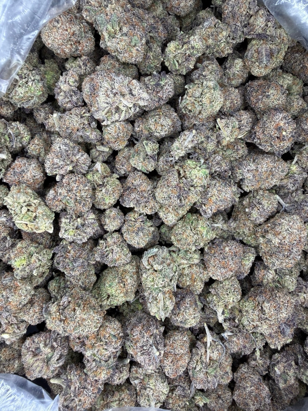 Collection of HEMP FLOWER | Cotton Candy in a gallery layout