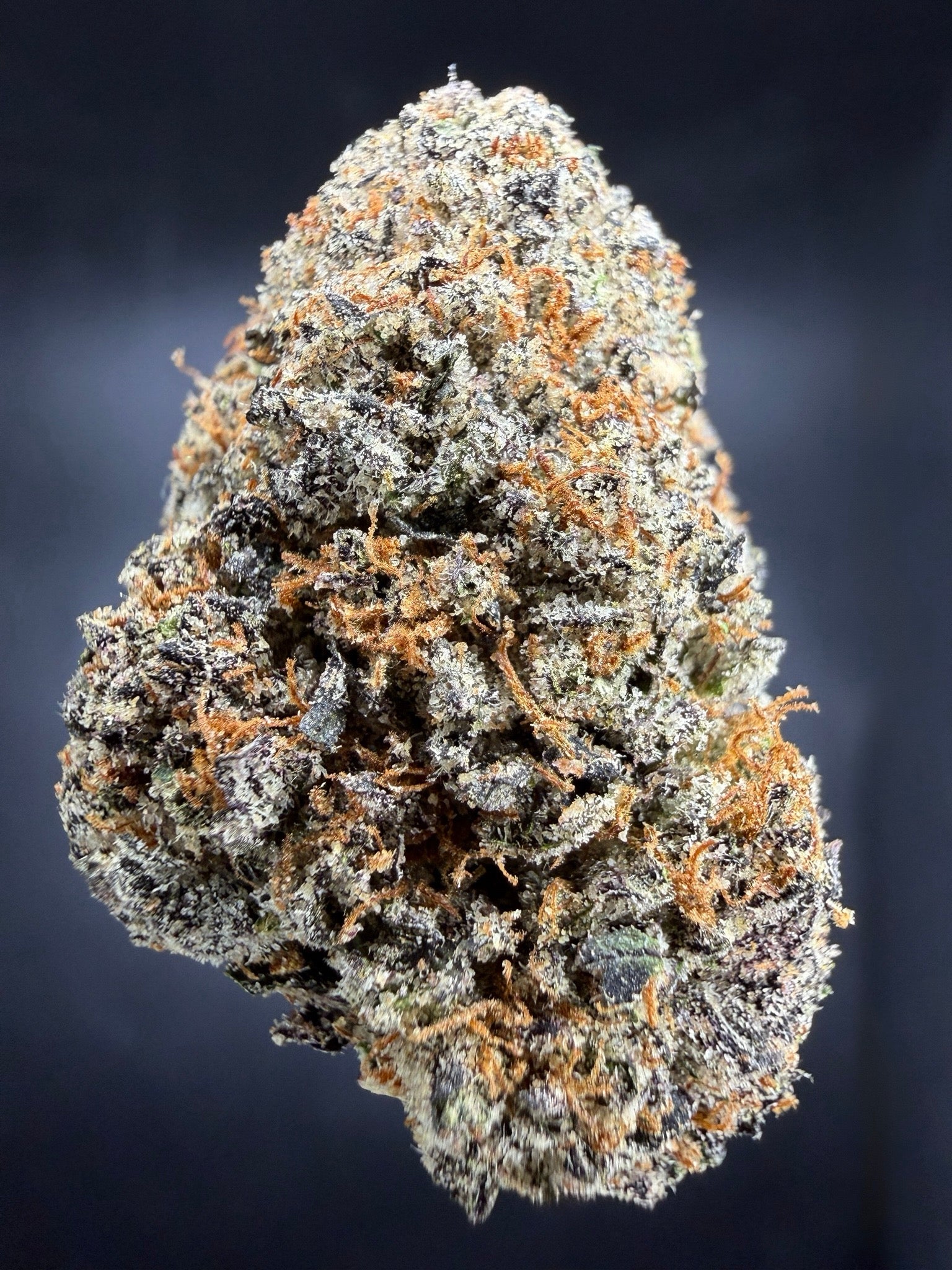 Collection of HEMP FLOWER | Cotton Candy in a gallery layout