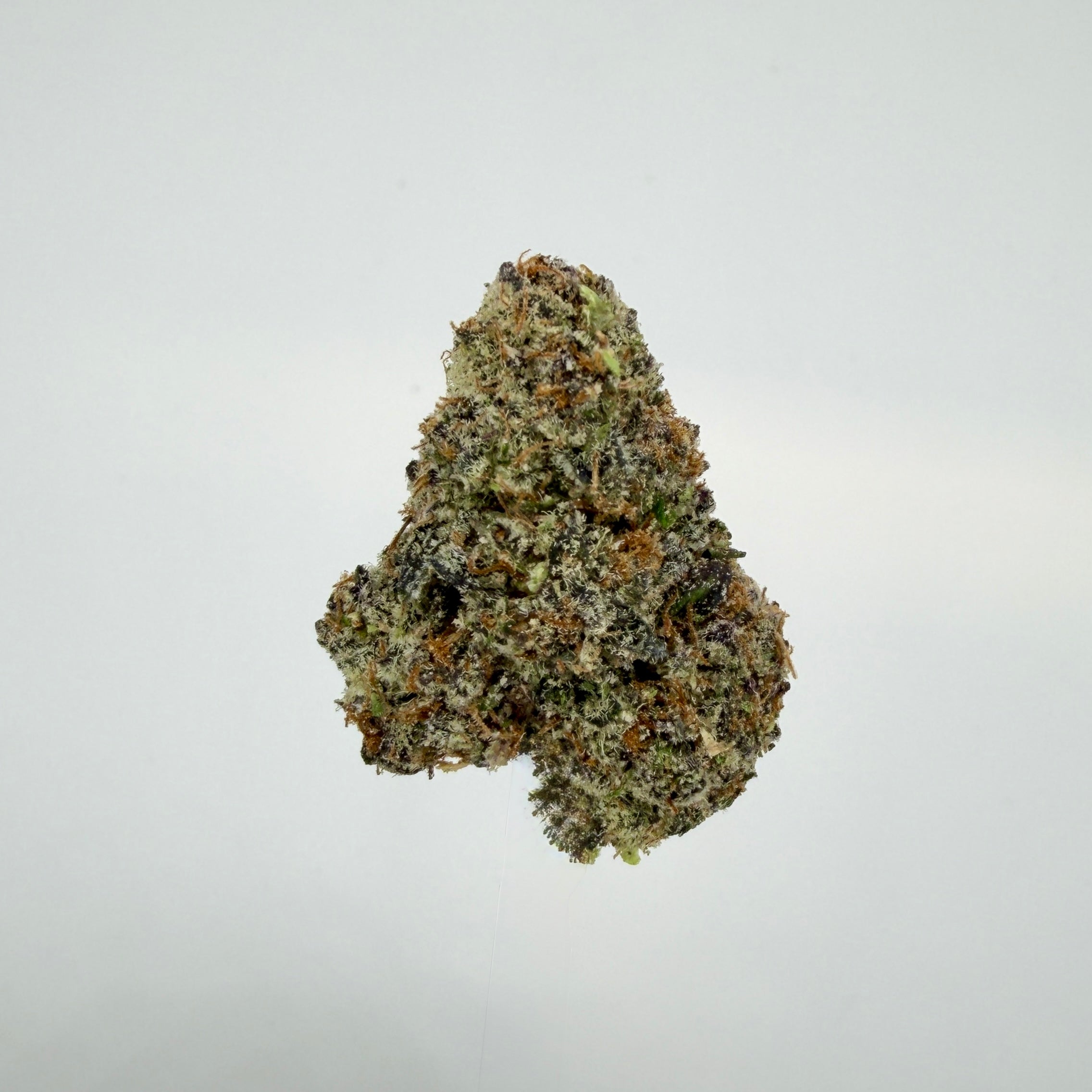 Collection of  in a gallery layout